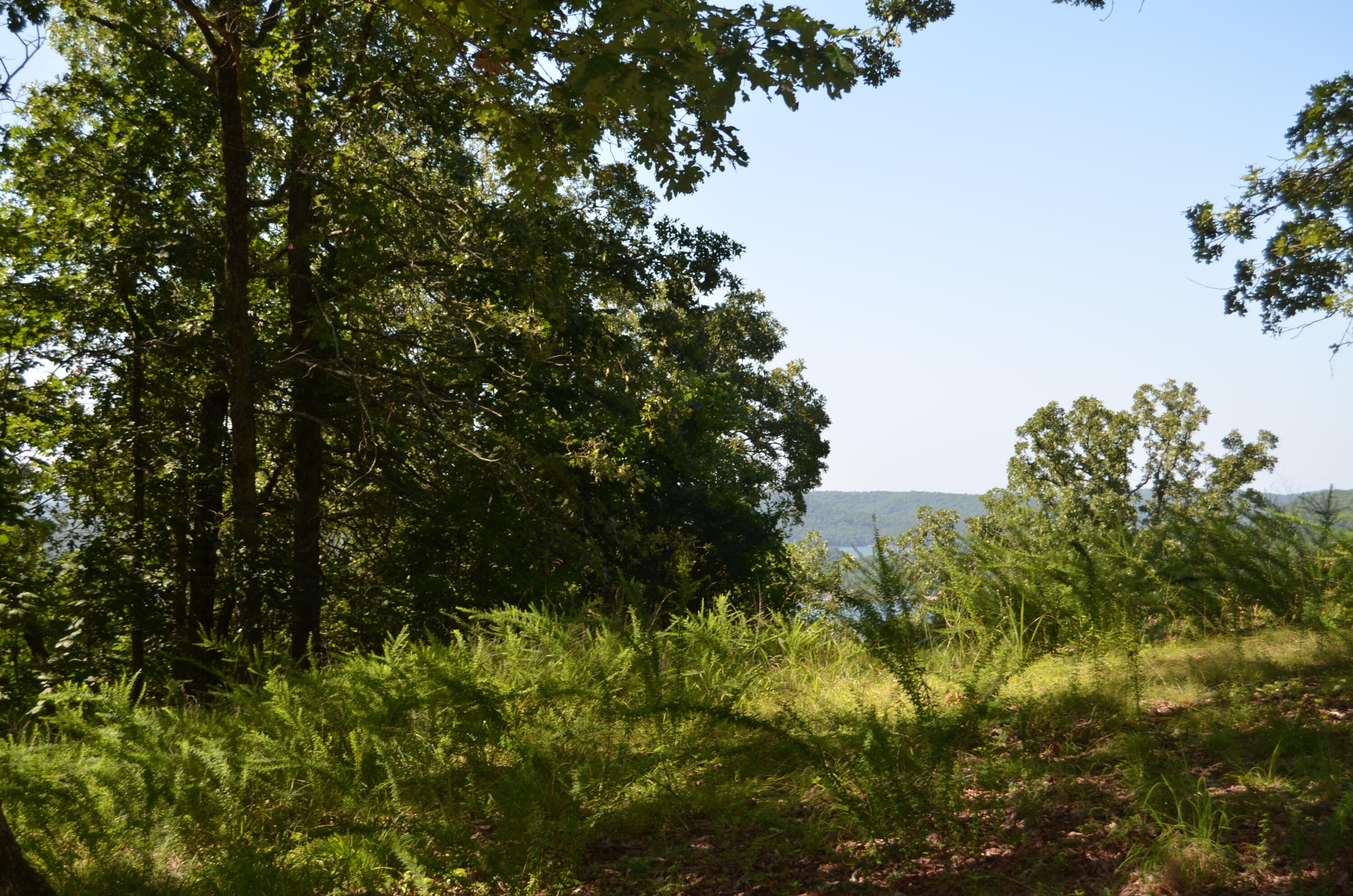 Lot 9 Cliffside Drive Property Photo 9