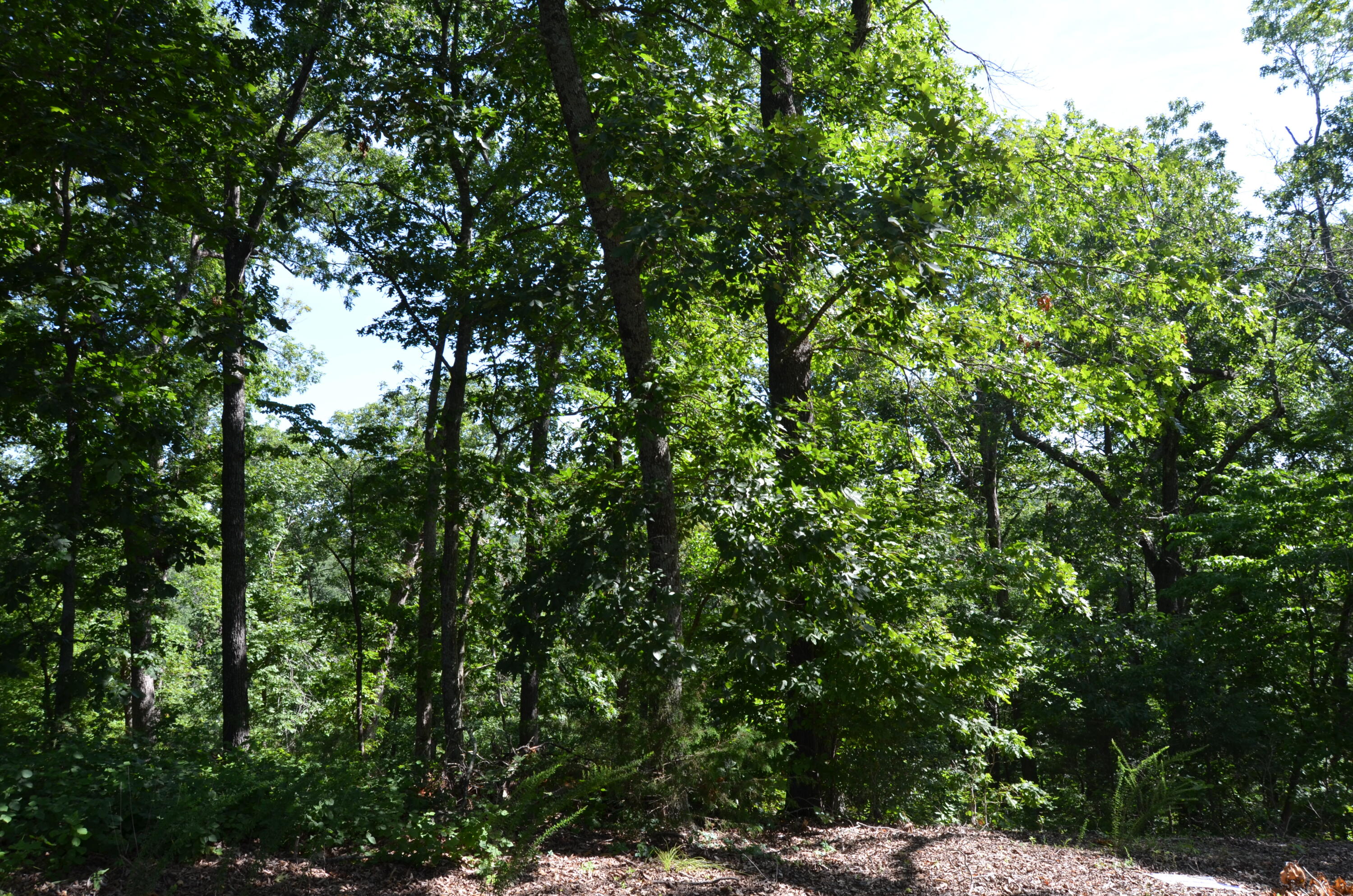 Lot 9 Cliffside Drive Property Photo 10