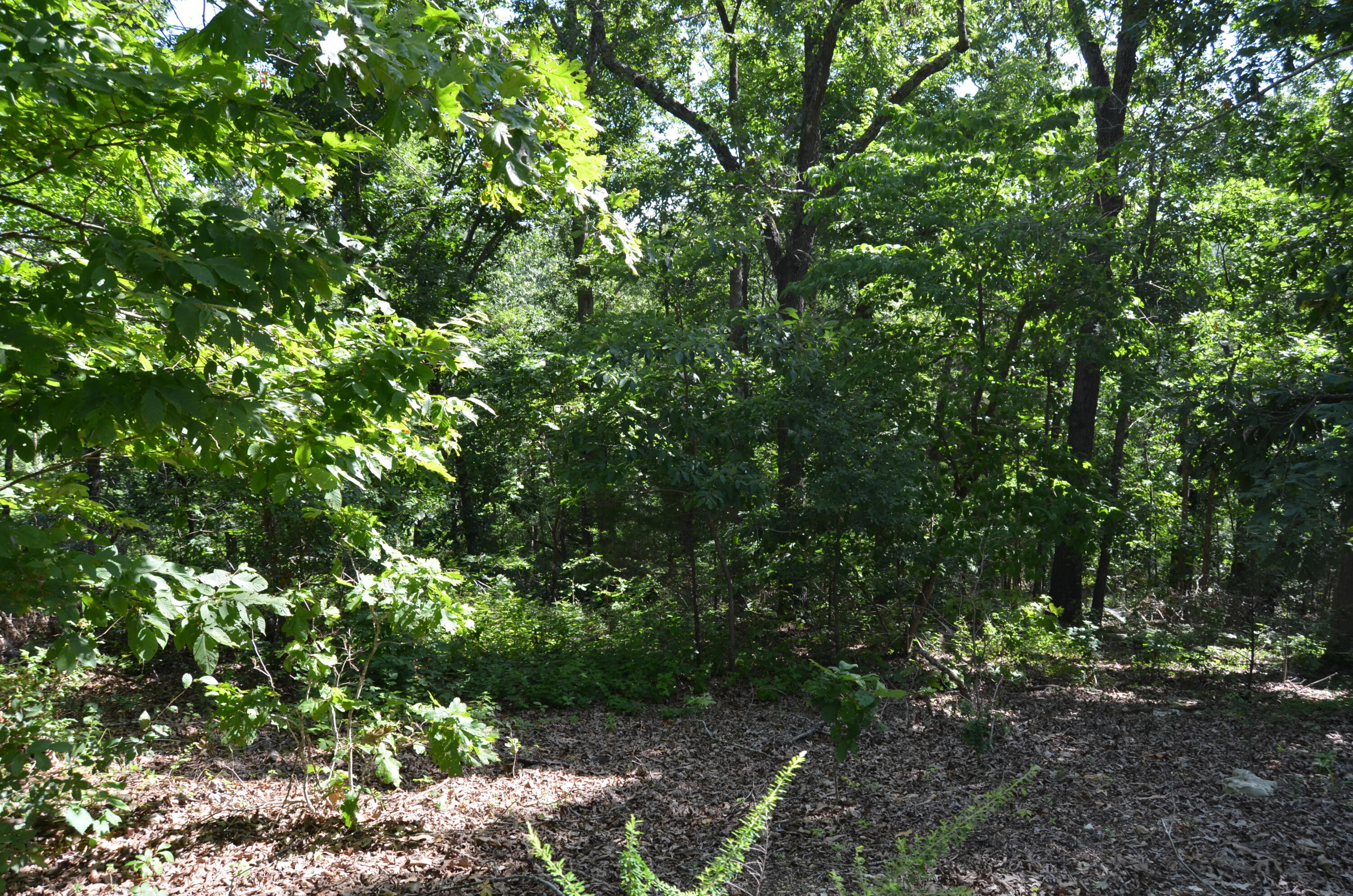 Lot 9 Cliffside Drive Property Photo 11