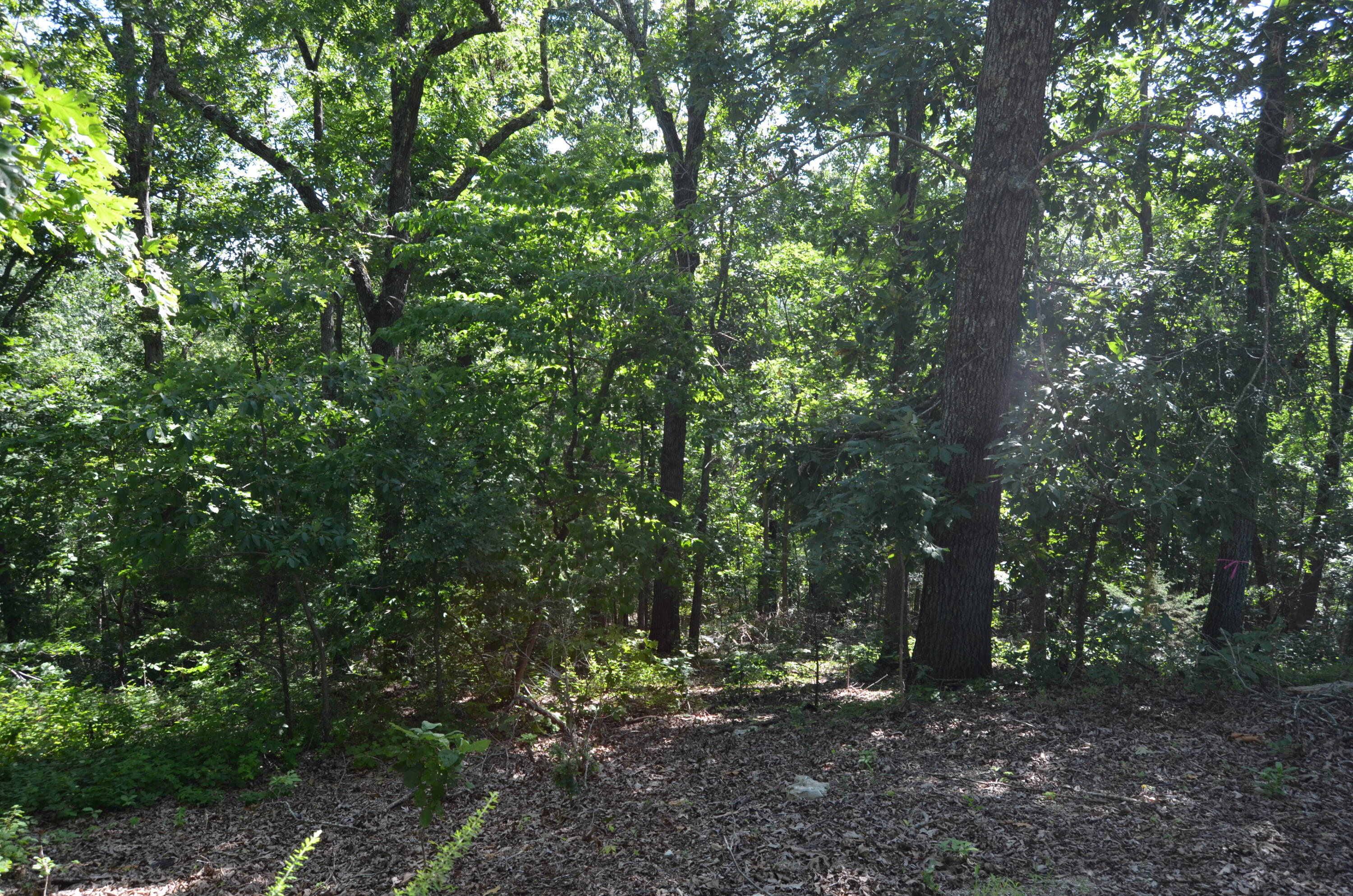 Lot 9 Cliffside Drive Property Photo 12