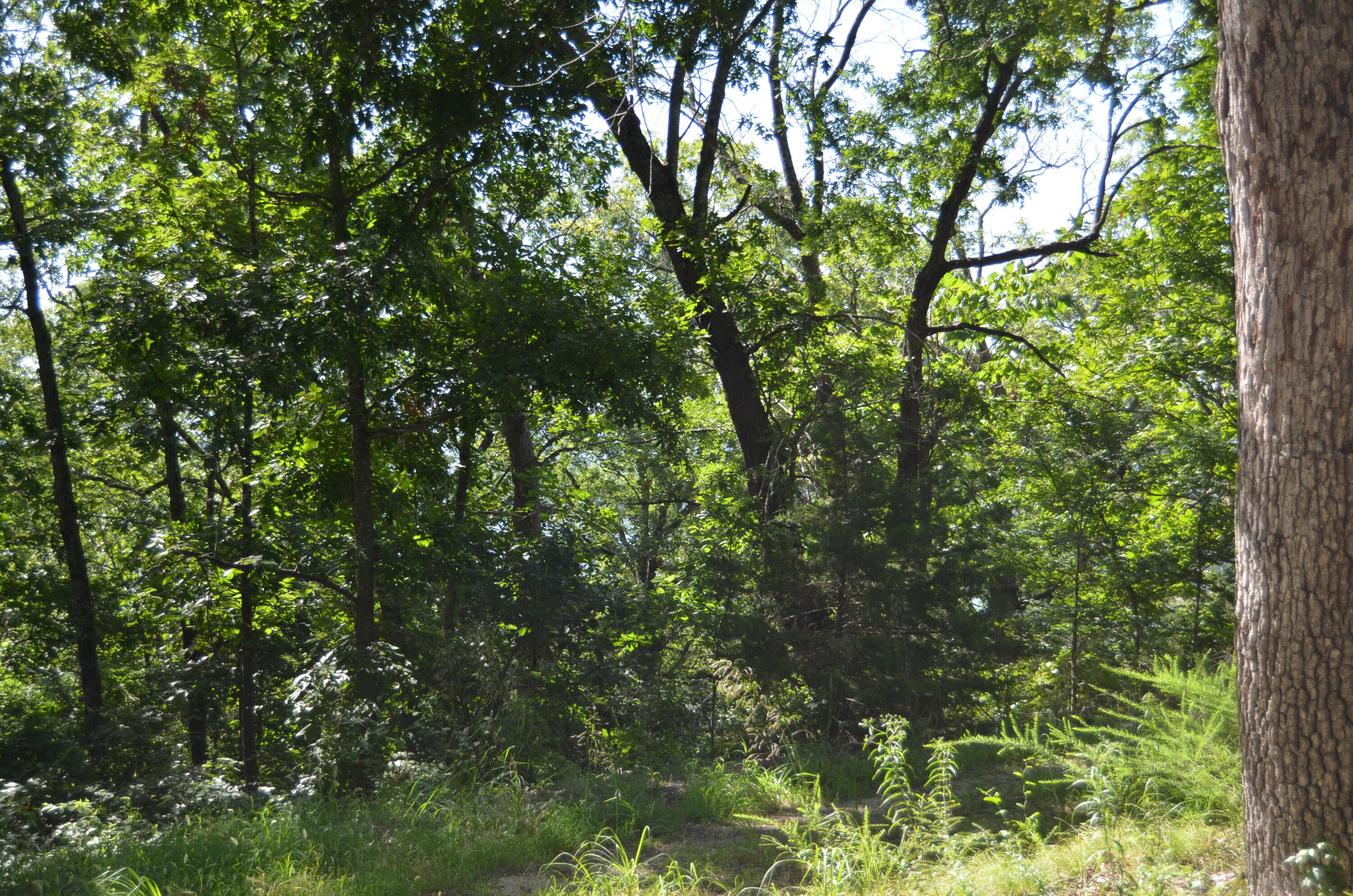 Lot 9 Cliffside Drive Property Photo 16