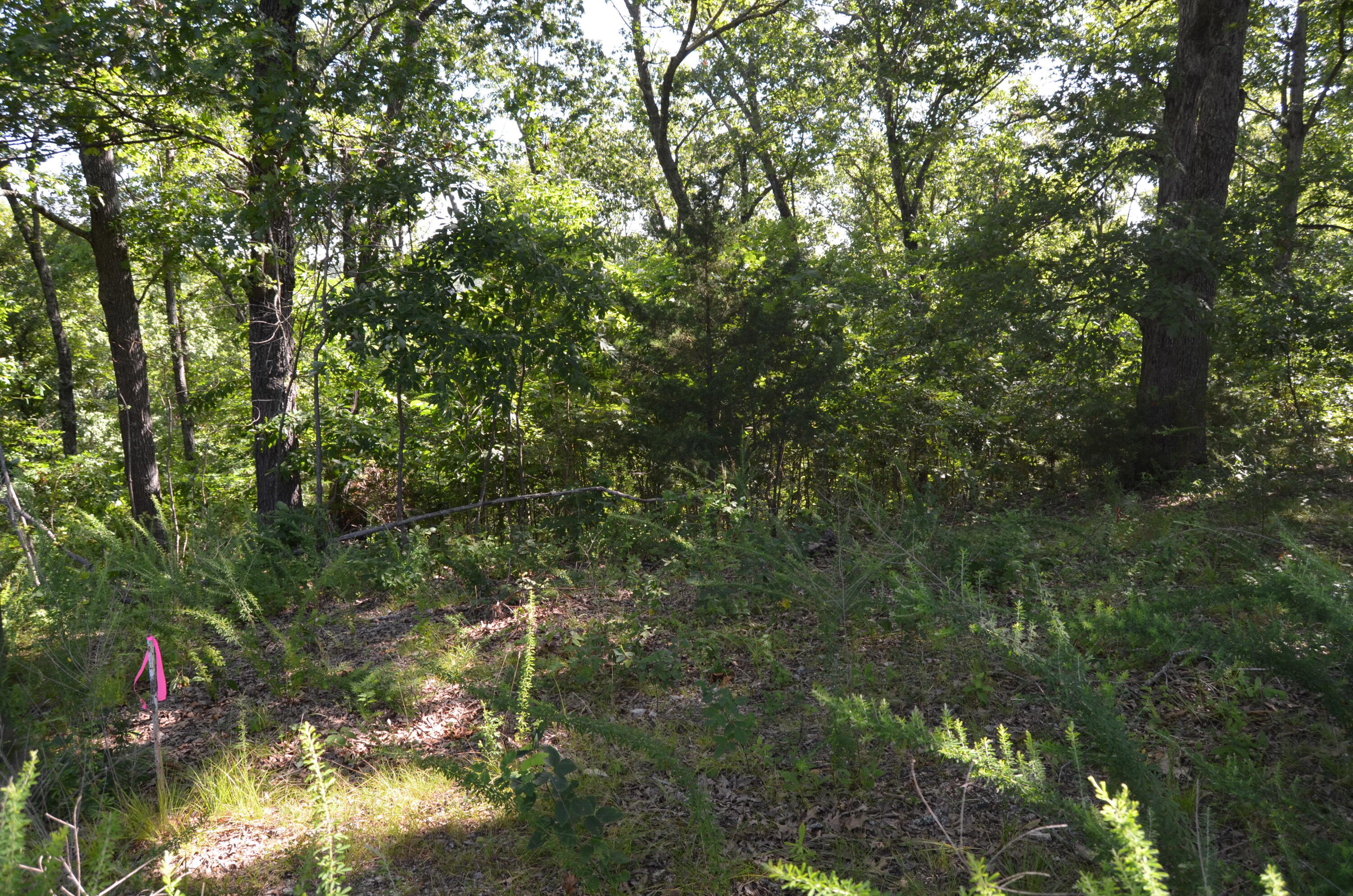 Lot 11 Cliffside Drive Property Photo 3