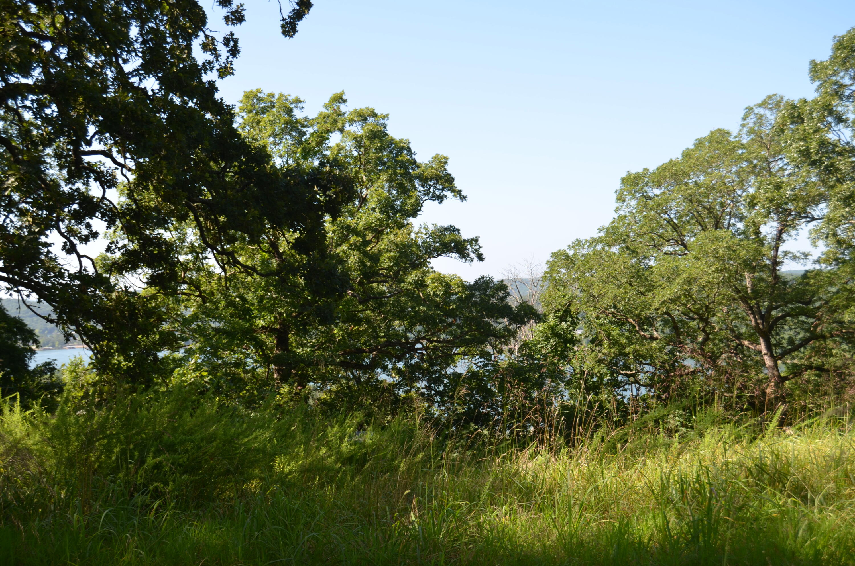 Lot 11 Cliffside Drive Property Photo 4
