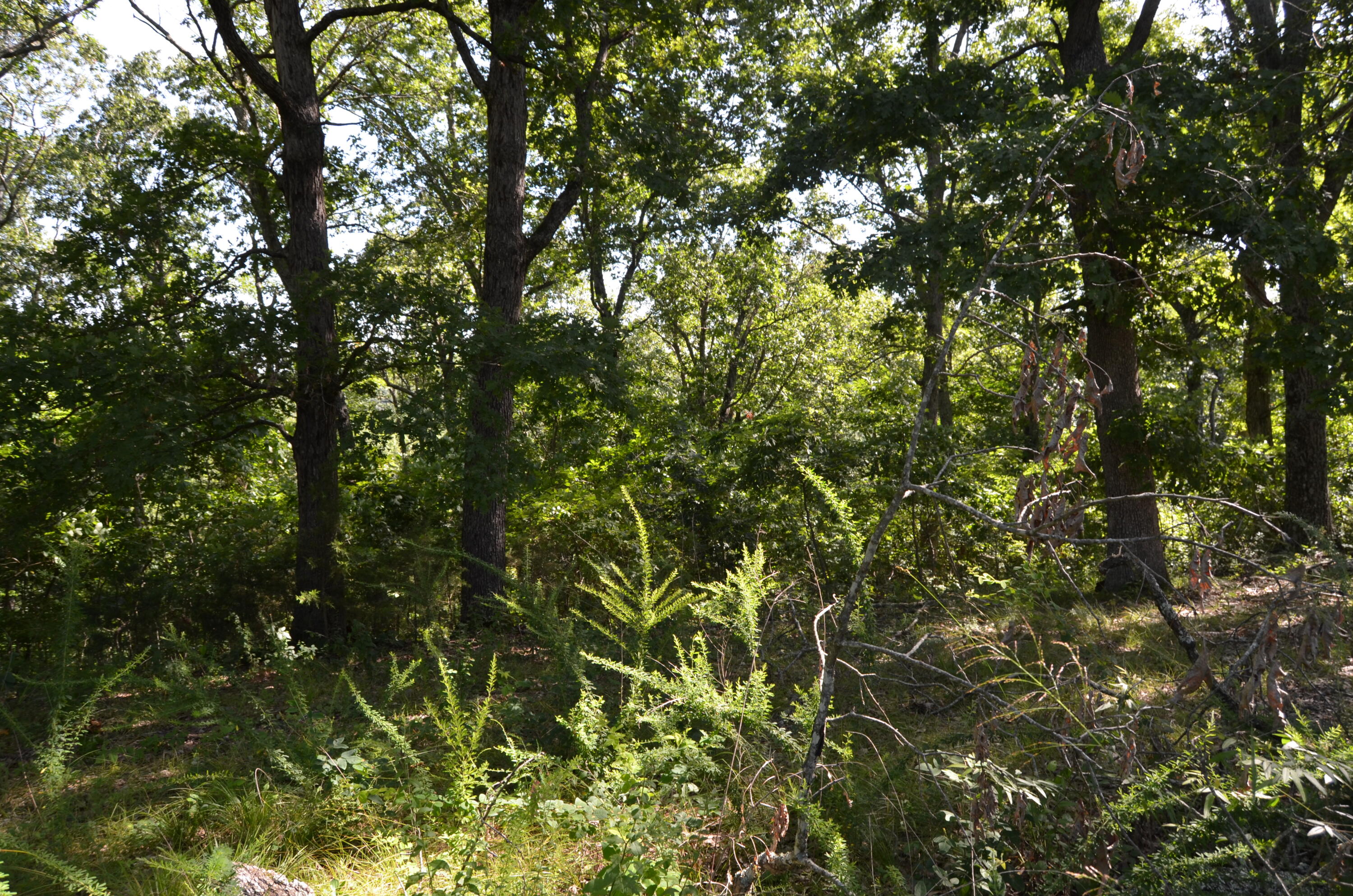 Lot 11 Cliffside Drive Property Photo 6
