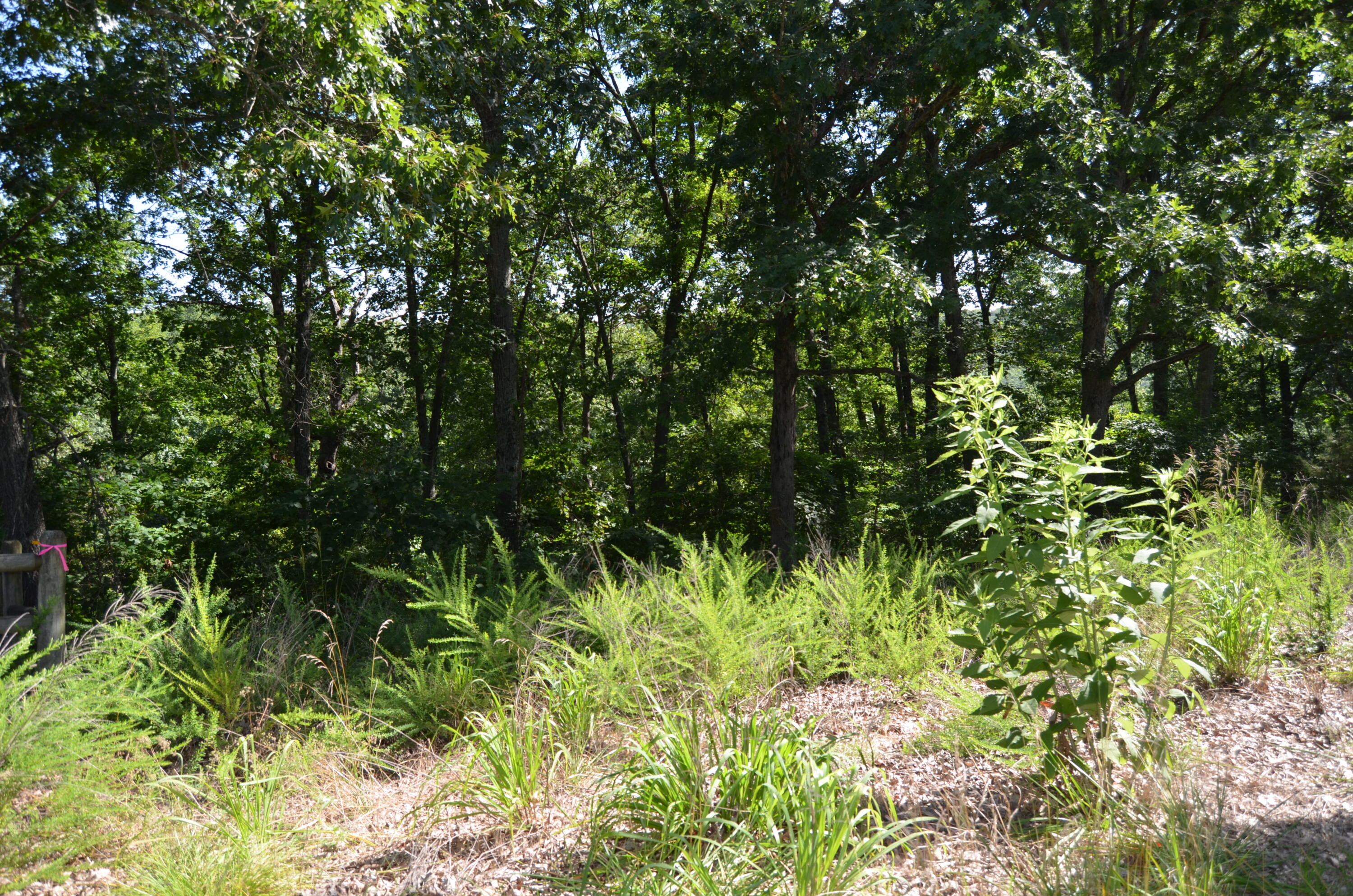 Lot 12 Cliffside Drive Property Photo 2