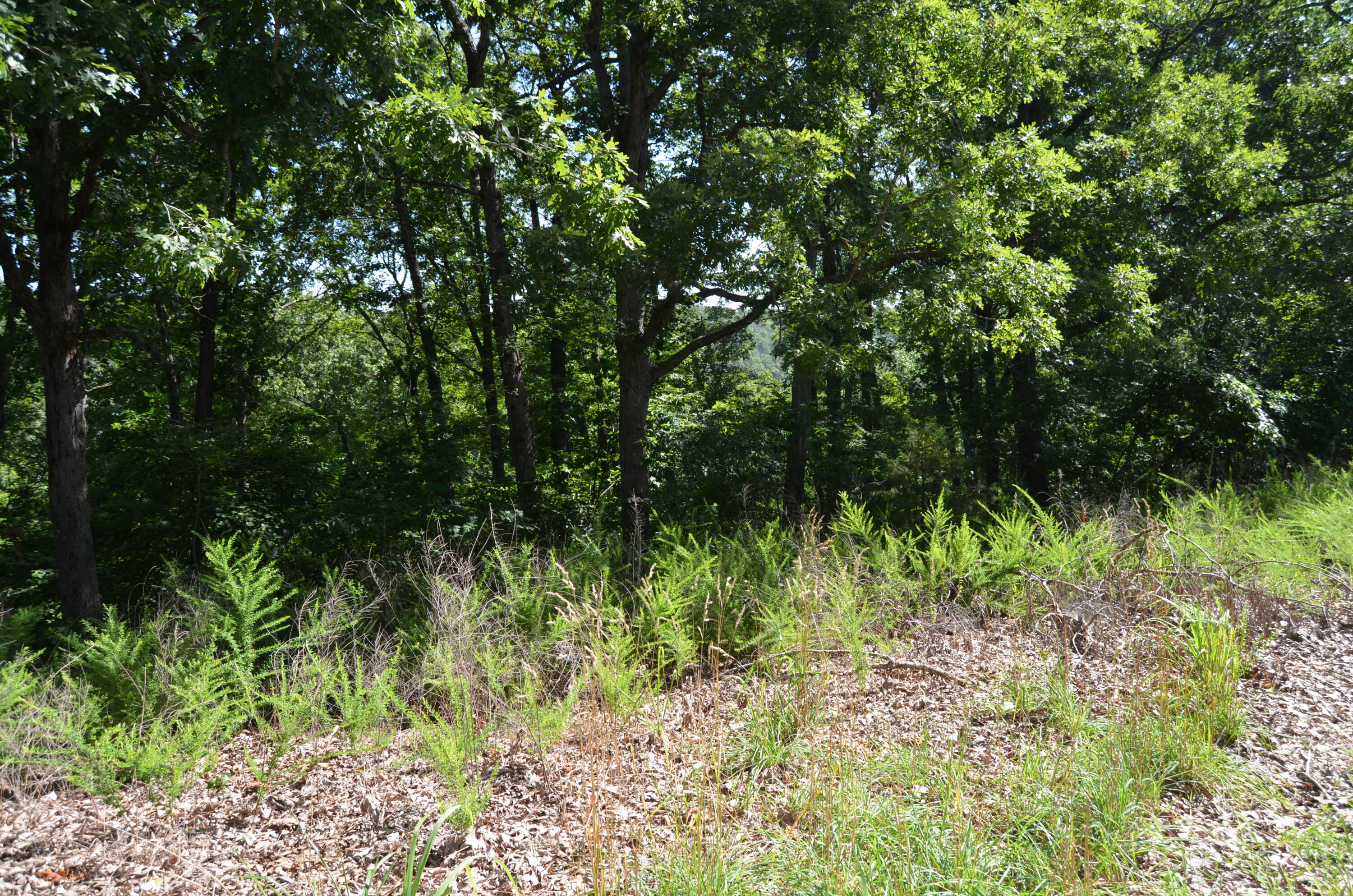 Lot 12 Cliffside Drive Property Photo 3