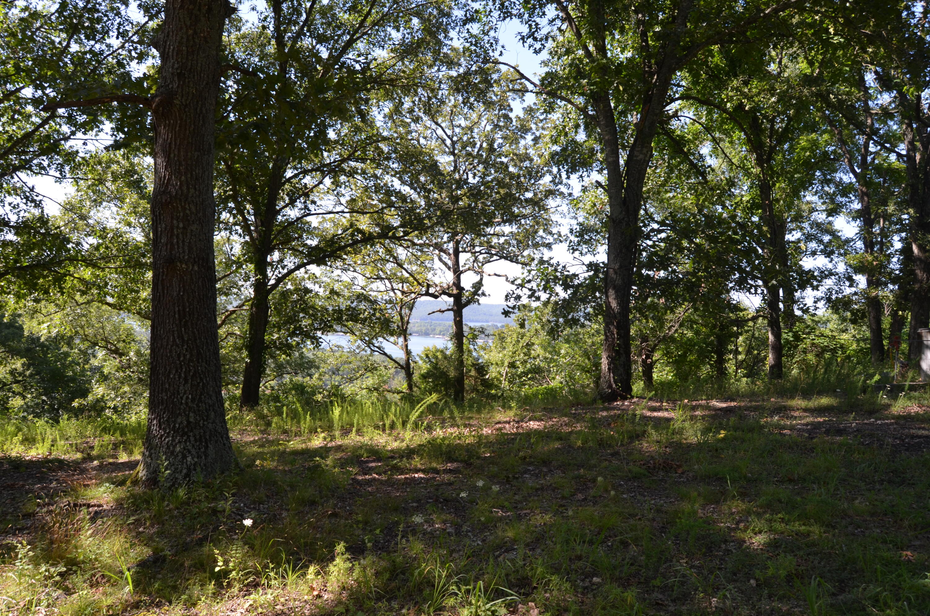 Lot 12 Cliffside Drive Property Photo 4