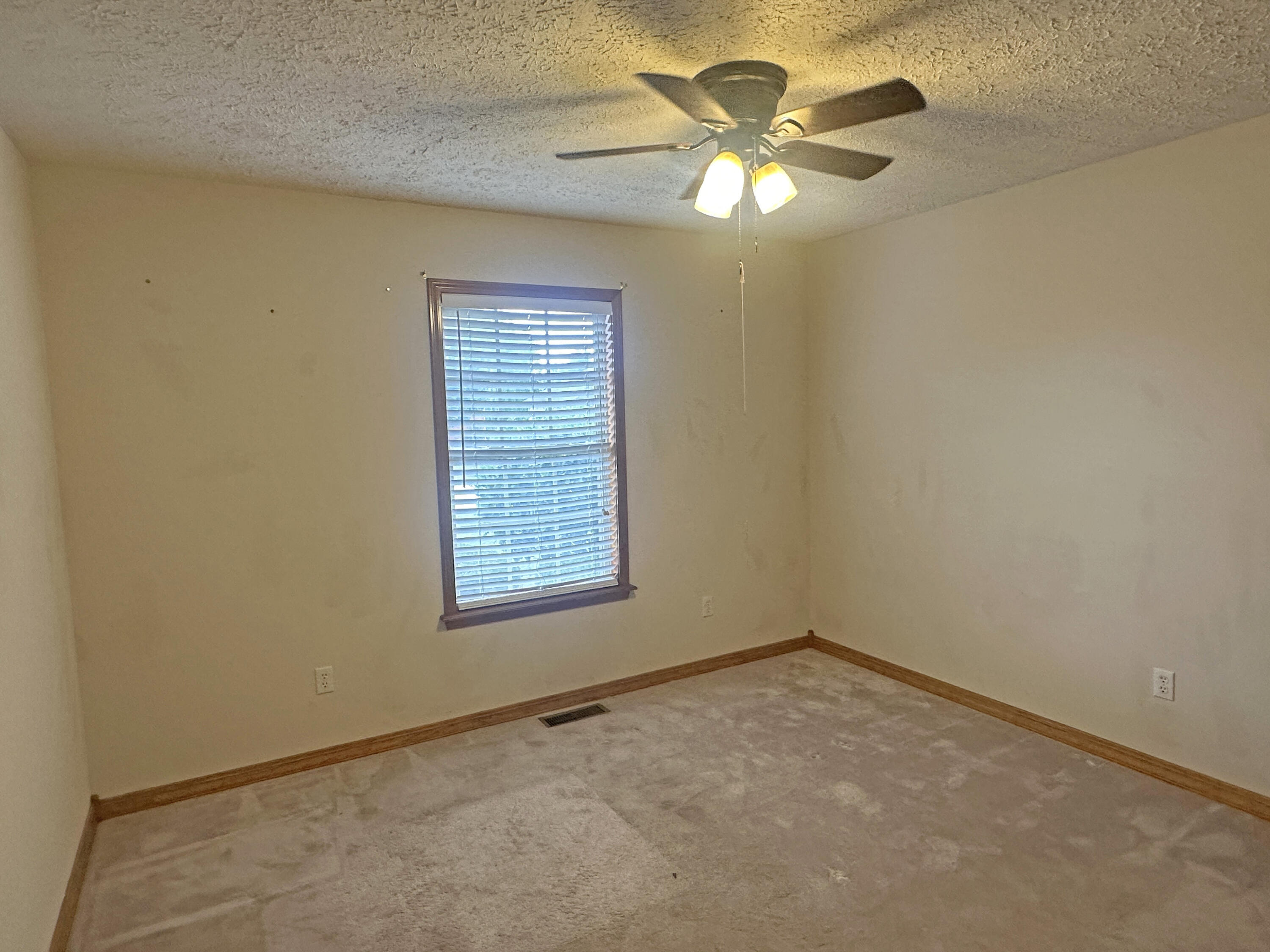 1105 East Eagle Rock Drive Property Photo 18