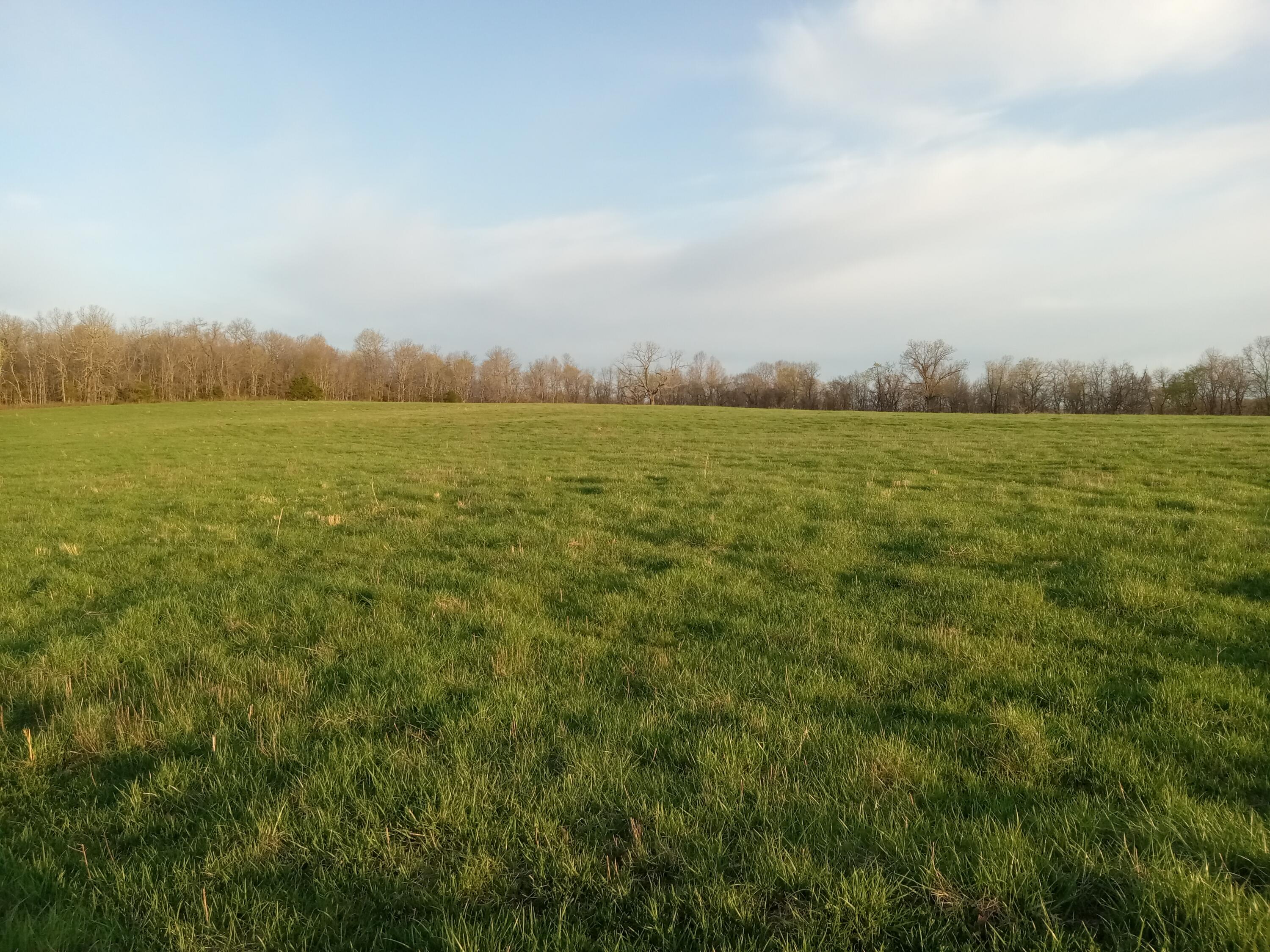 0000 Baker Creek County Road Property Photo 13