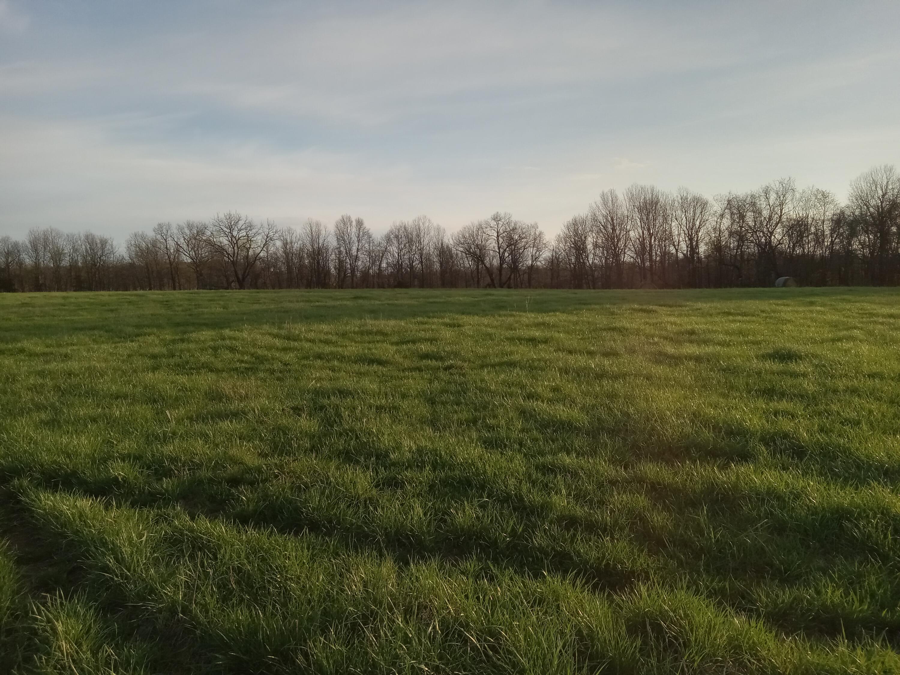 0000 Baker Creek County Road Property Photo 15