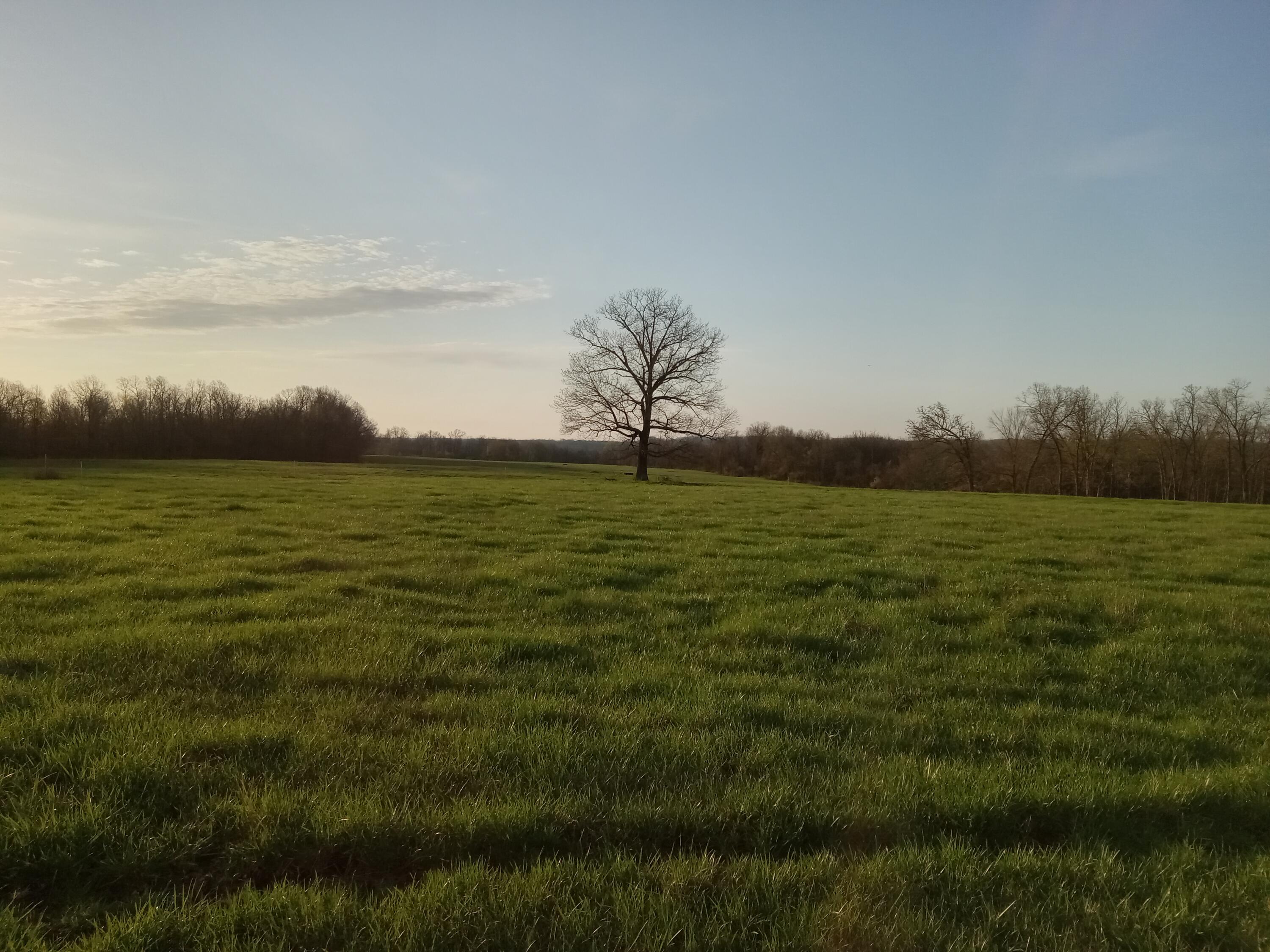 0000 Baker Creek County Road Property Photo 17