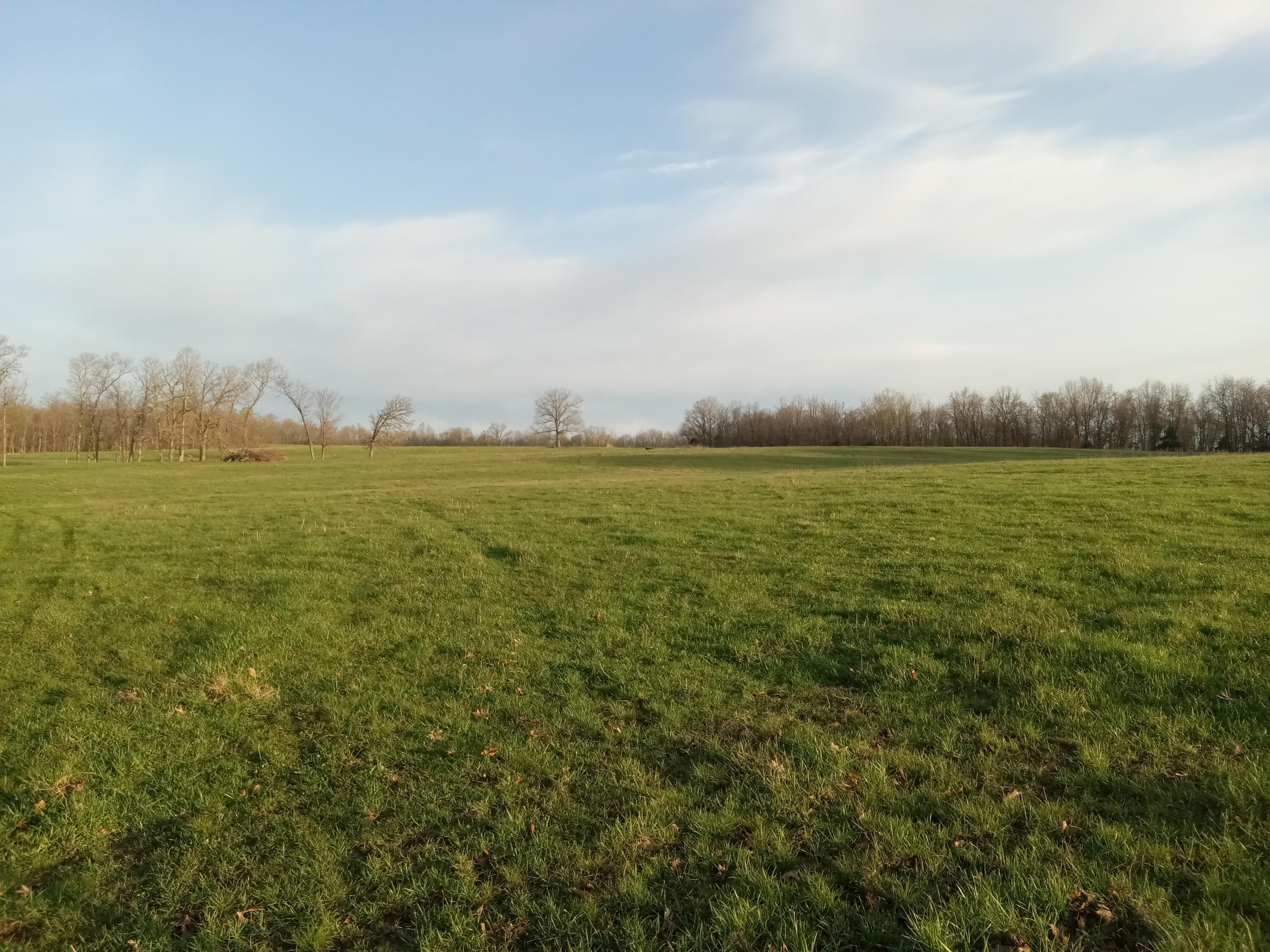 0000 Baker Creek County Road Property Photo 19