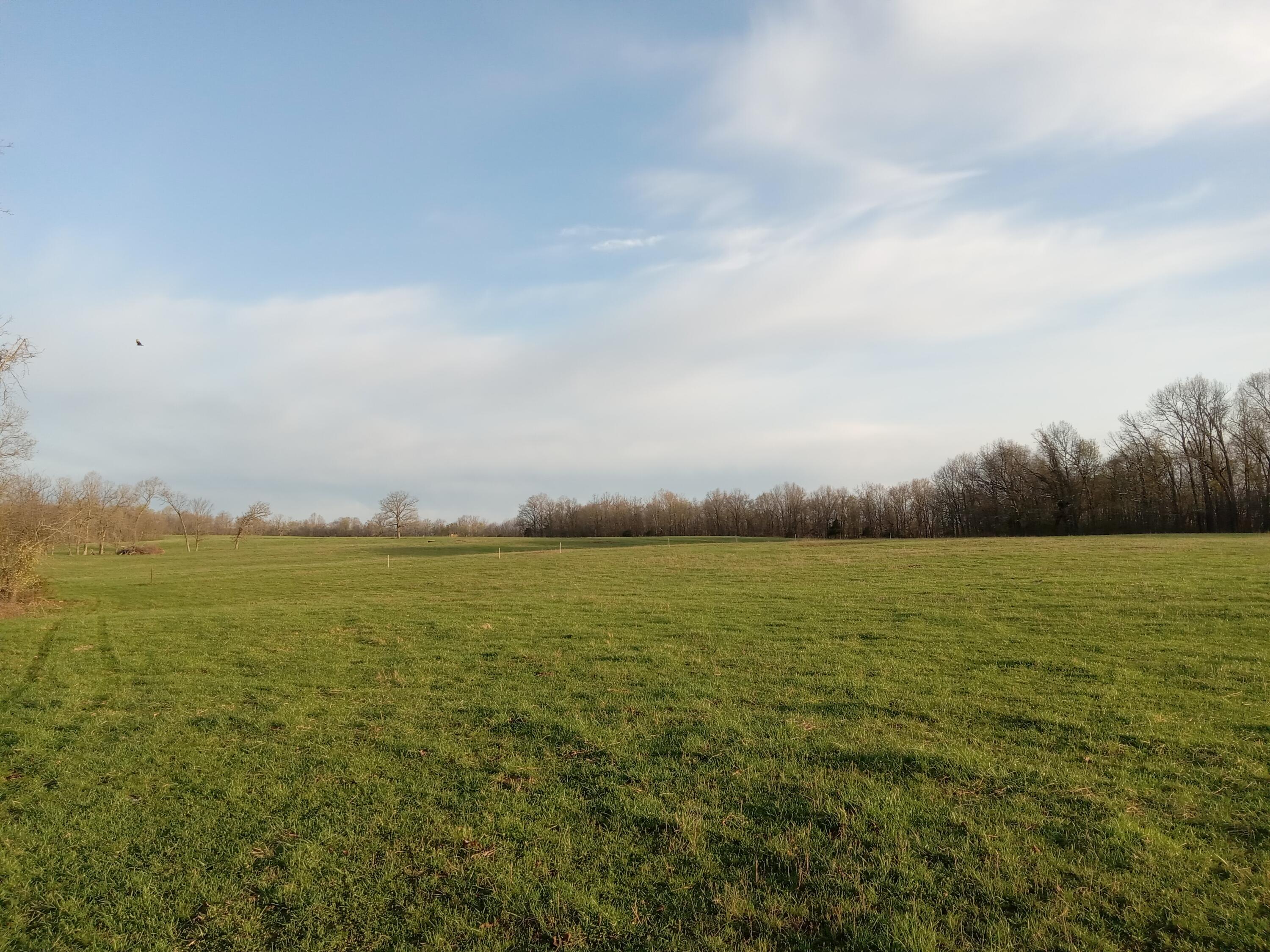 0000 Baker Creek County Road Property Photo 20
