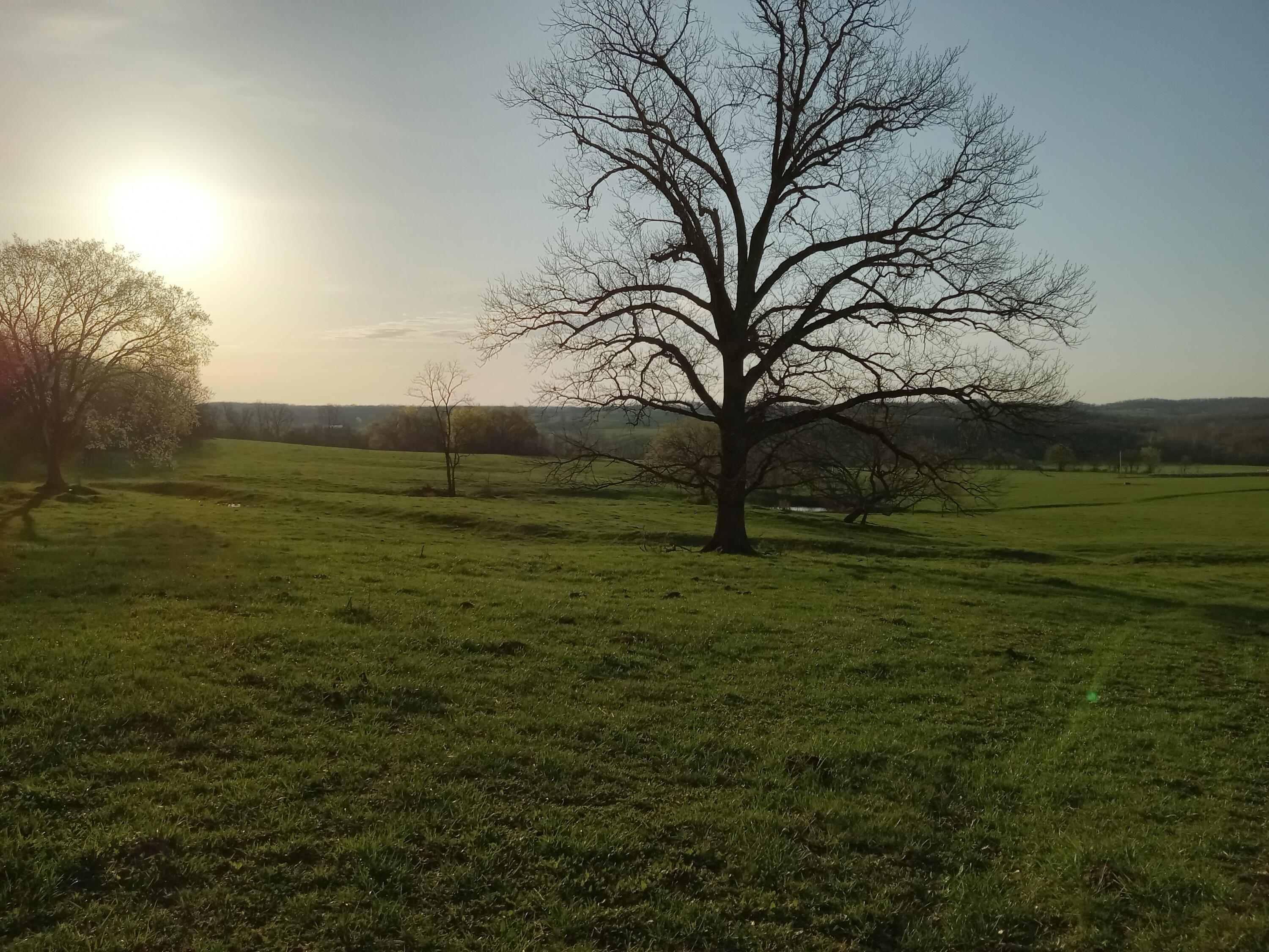 0000 Baker Creek County Road Property Photo 22