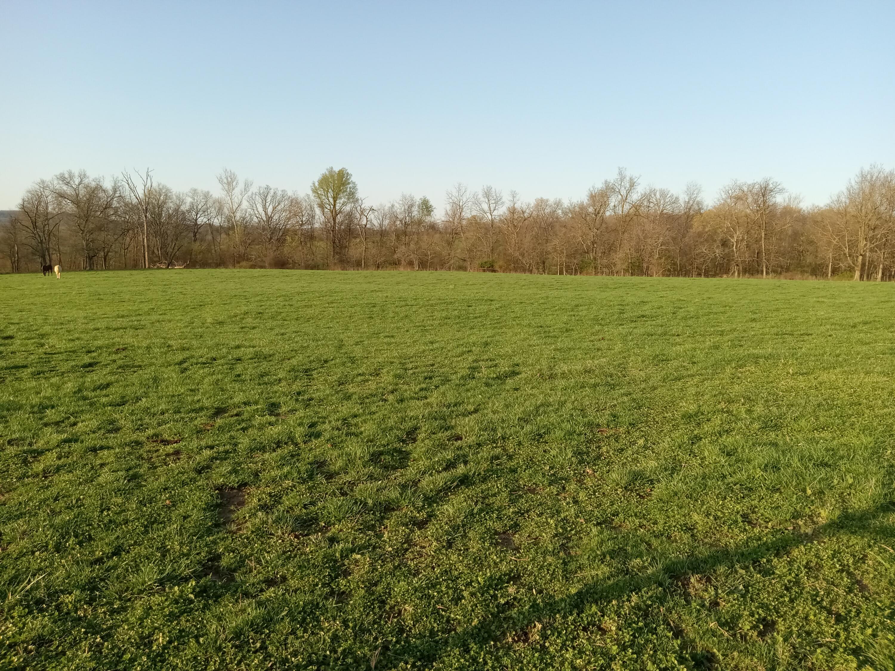 0000 Baker Creek County Road Property Photo 24