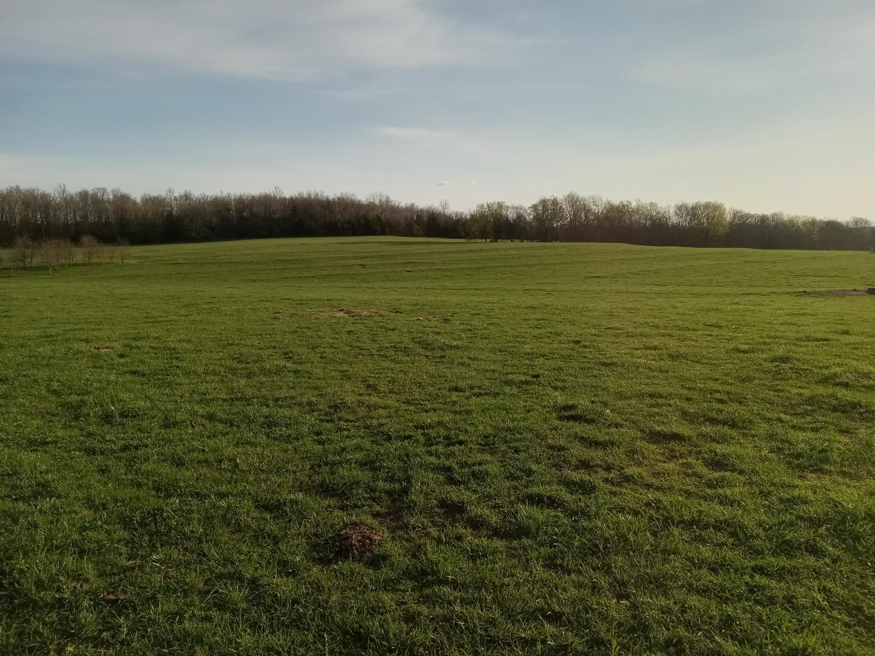 0000 Baker Creek County Road Property Photo 25