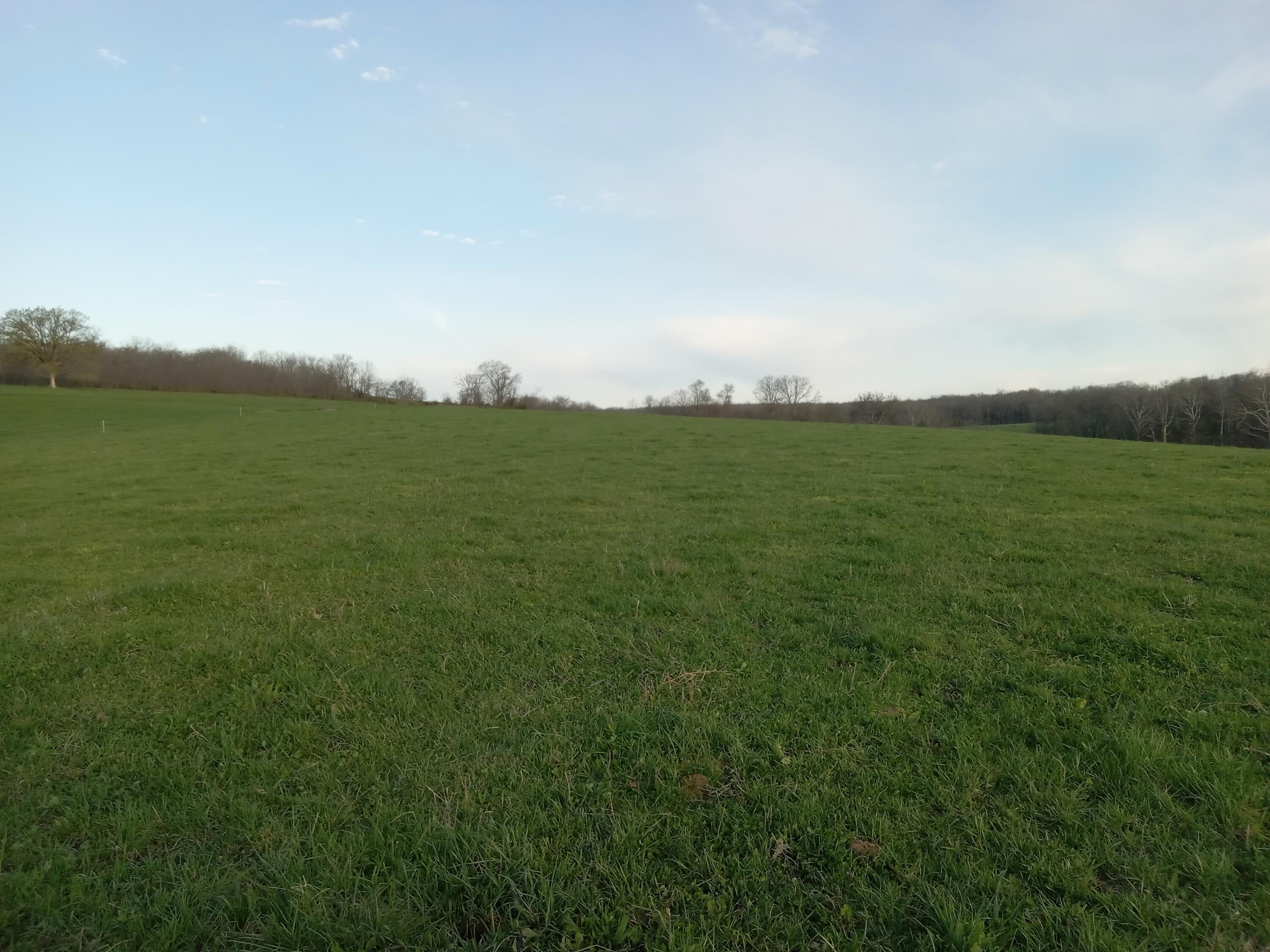 0000 Baker Creek County Road Property Photo 26