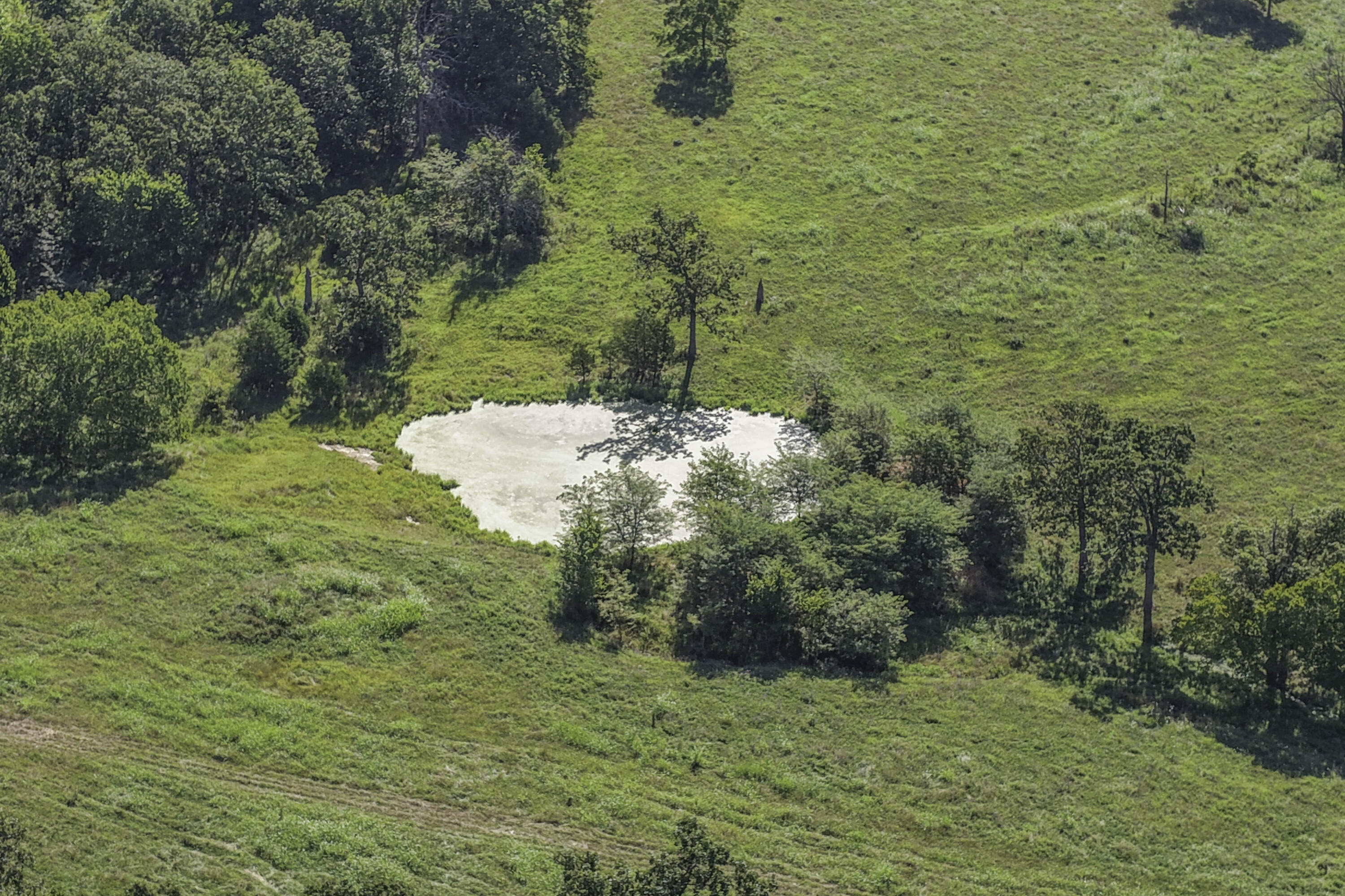 0000 Baker Creek County Road Property Photo 29