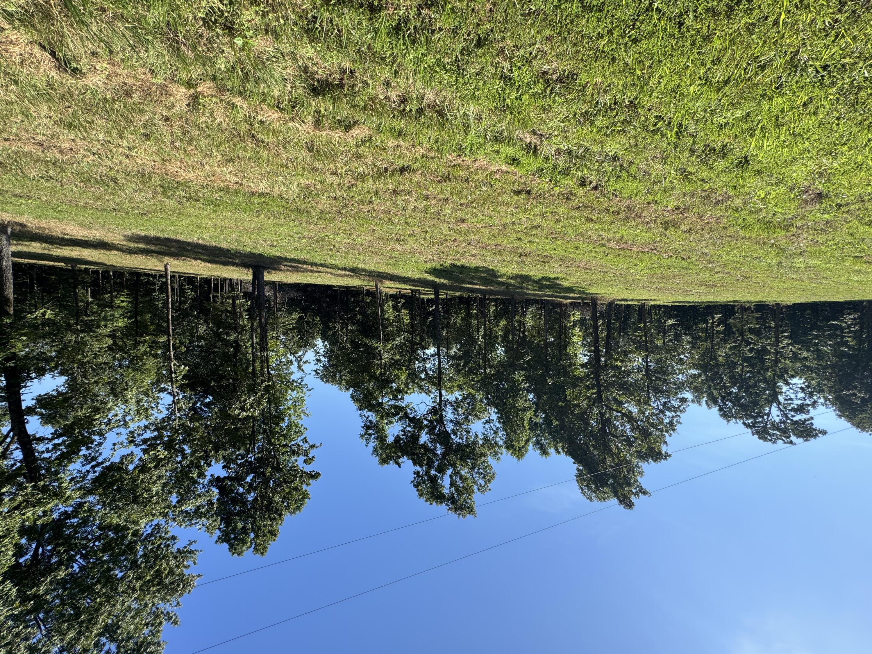 000 County Road 7550