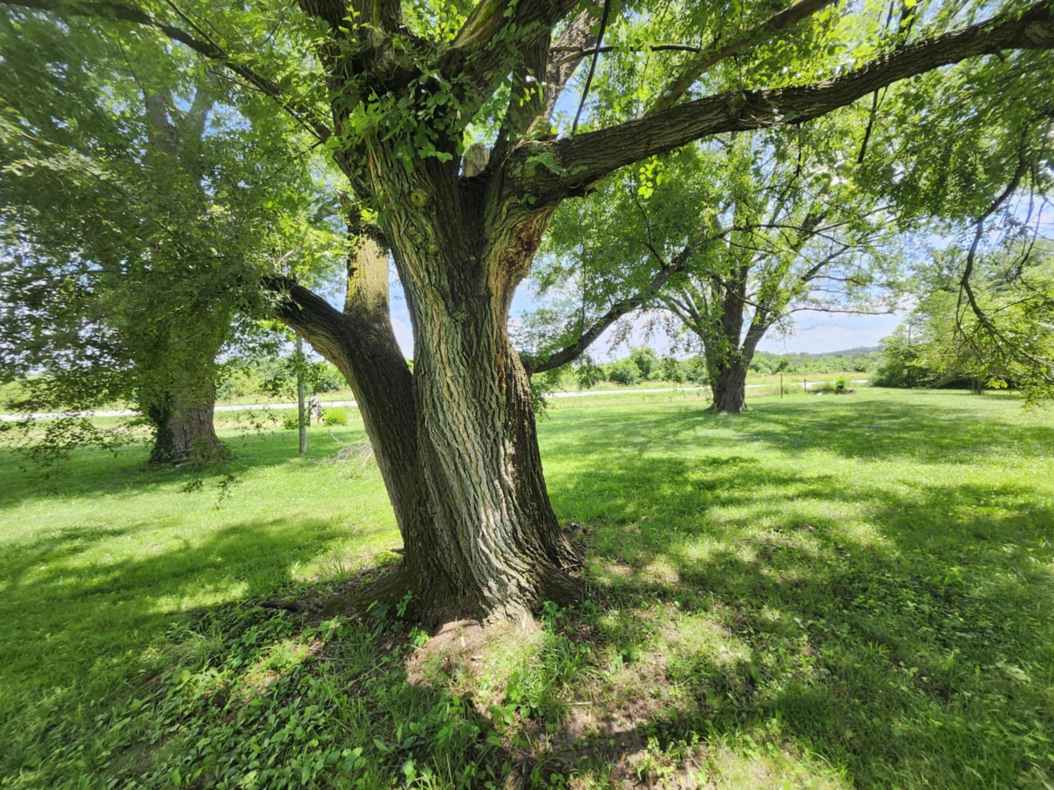 1303 Highway 63 Property Photo 14