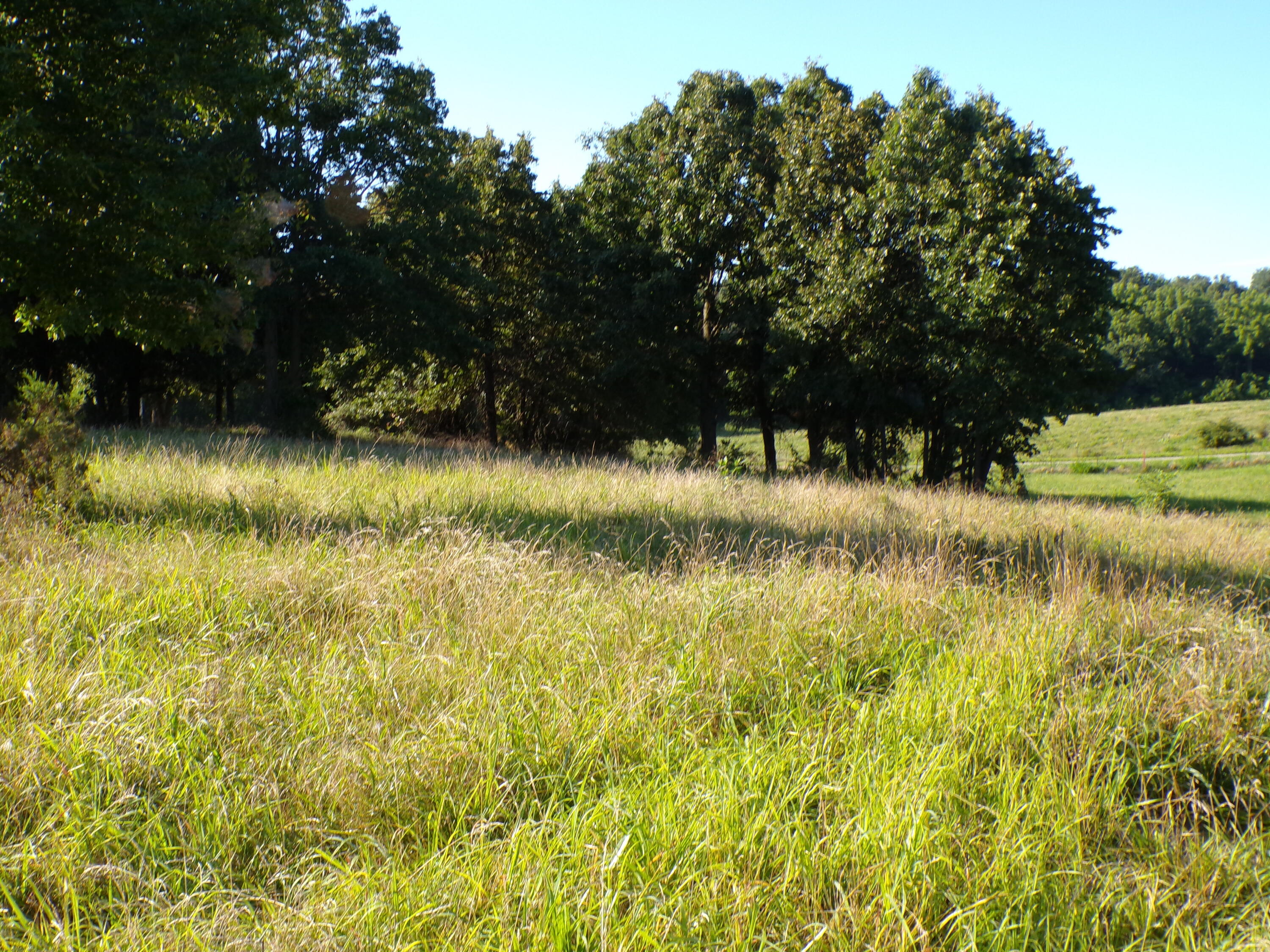 000 Lawrence 2022 Property Photo 4