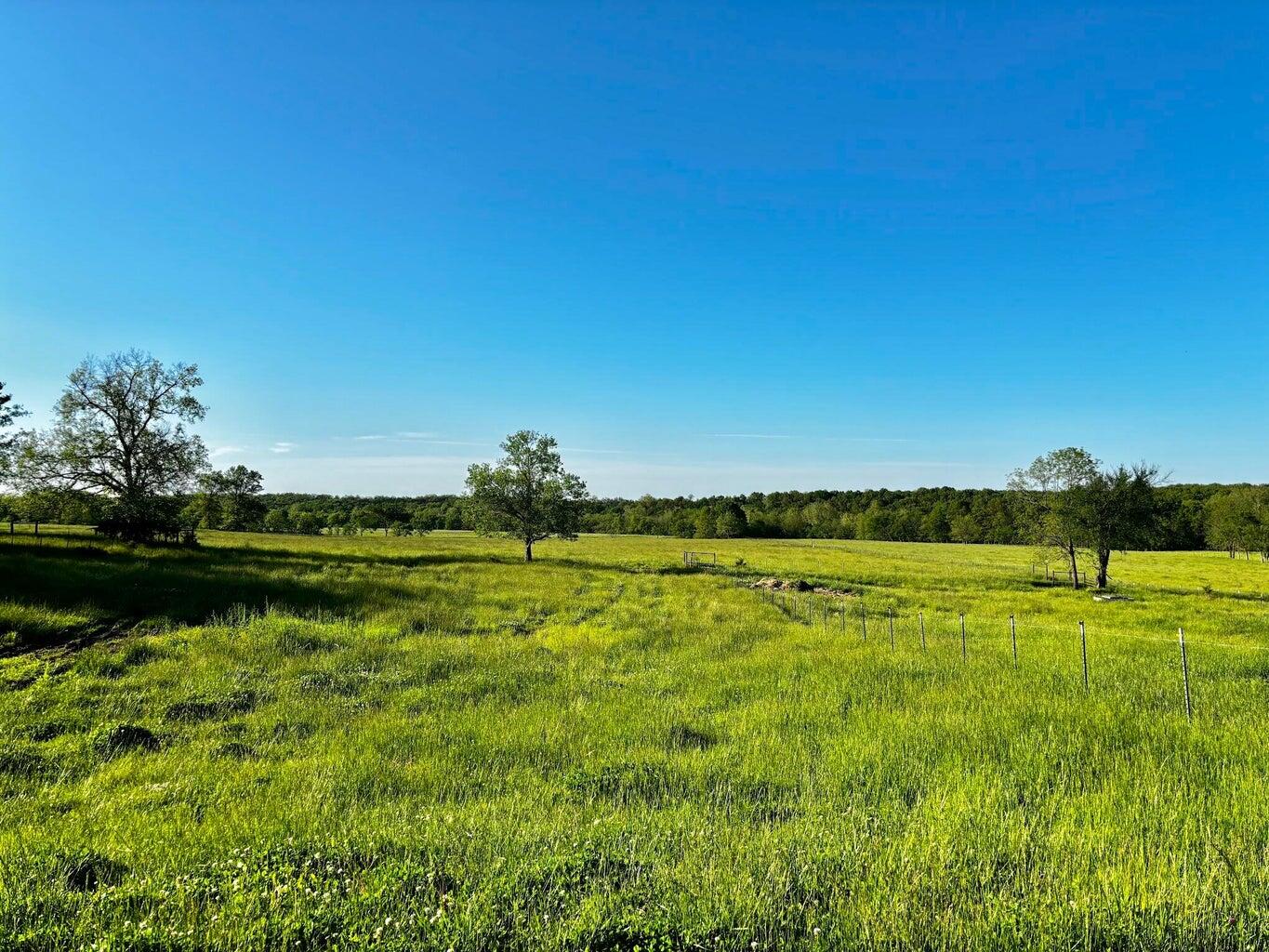 443 Sparkle Brook Road Property Photo 18