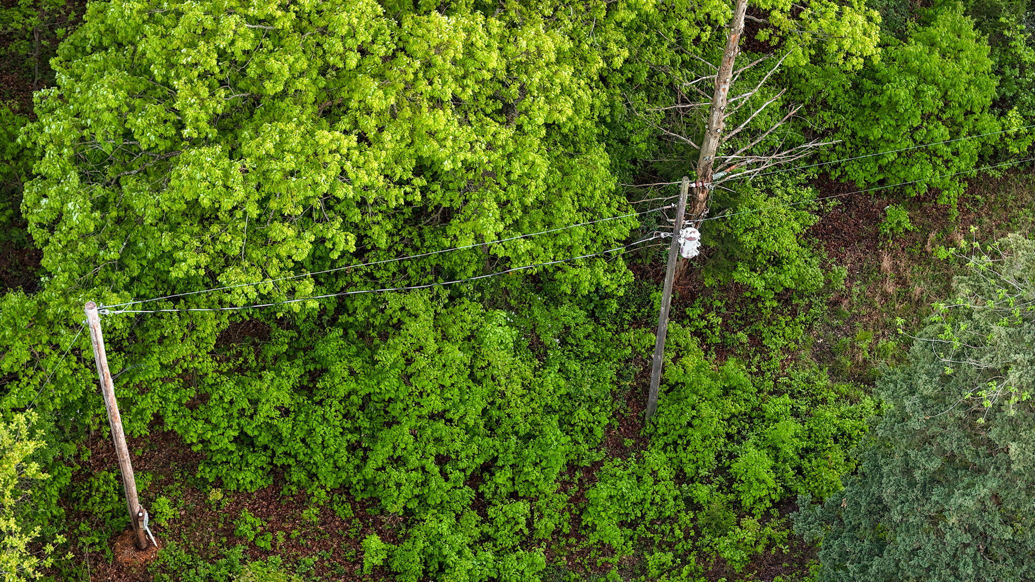 Tbd North Farm Rd 181 Property Photo 18
