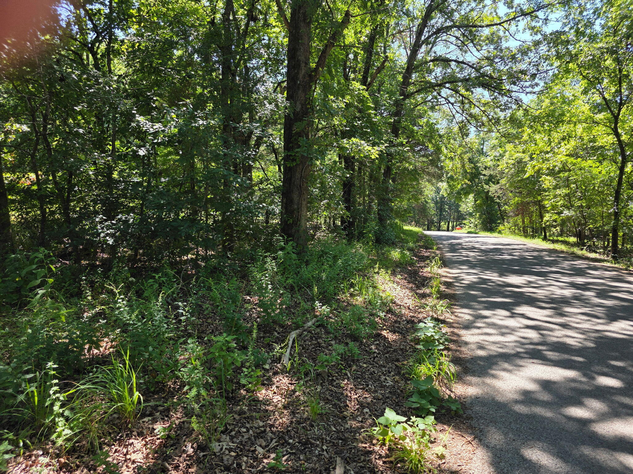 Lot 12&13 Farm Road 1190 Property Photo 3