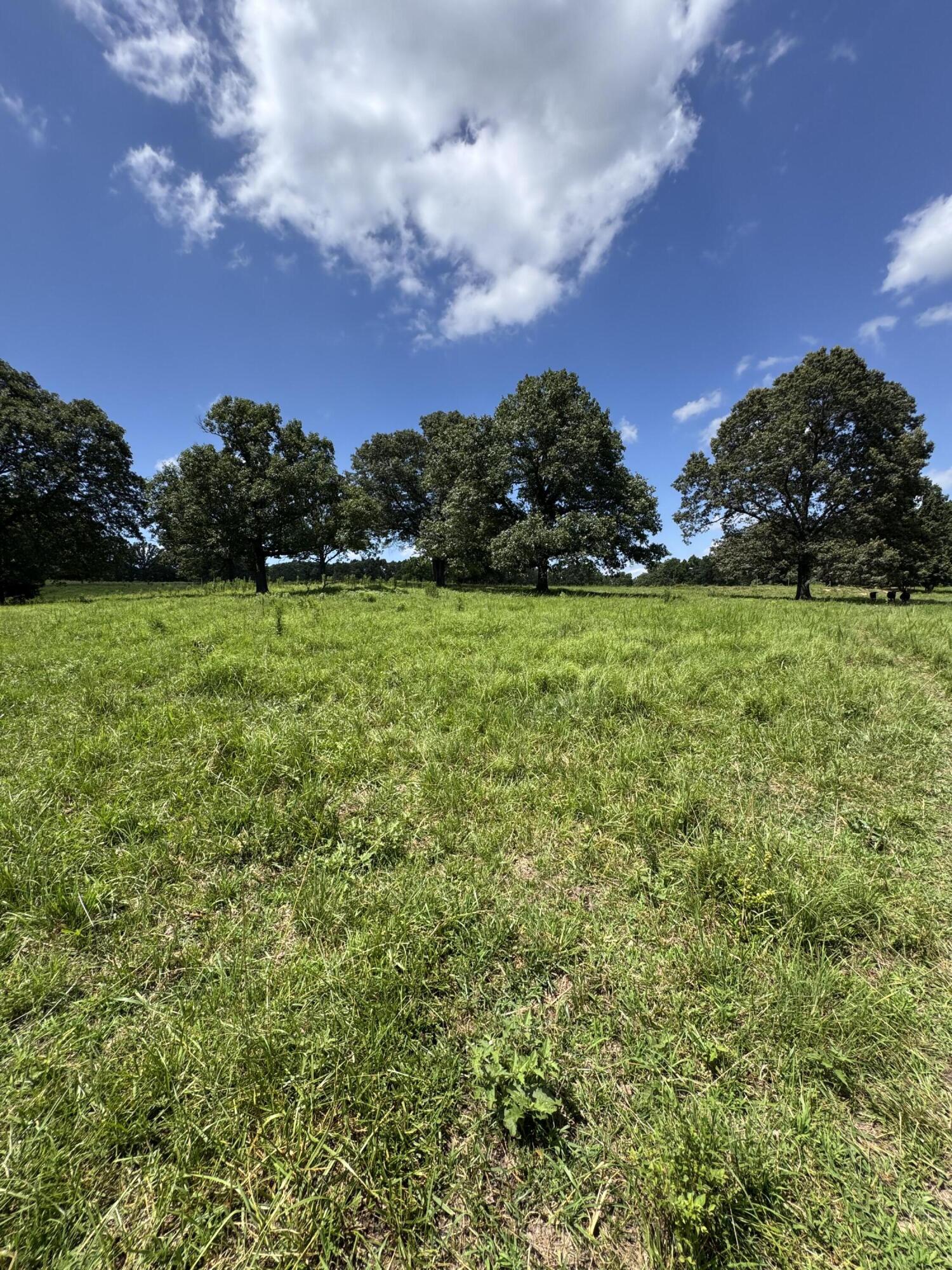 13921 County Road 6910 Property Photo 15