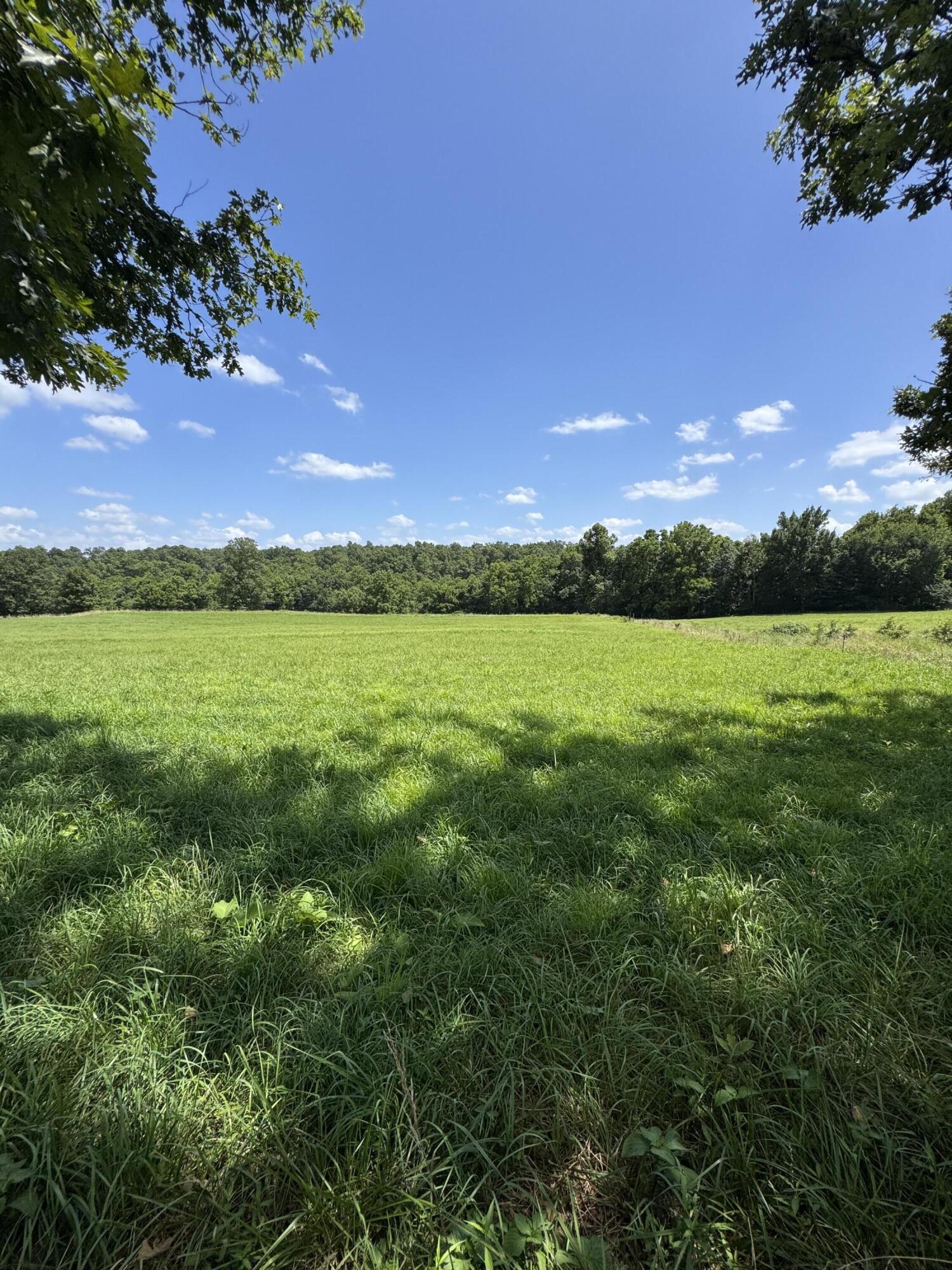 13921 County Road 6910 Property Photo 16