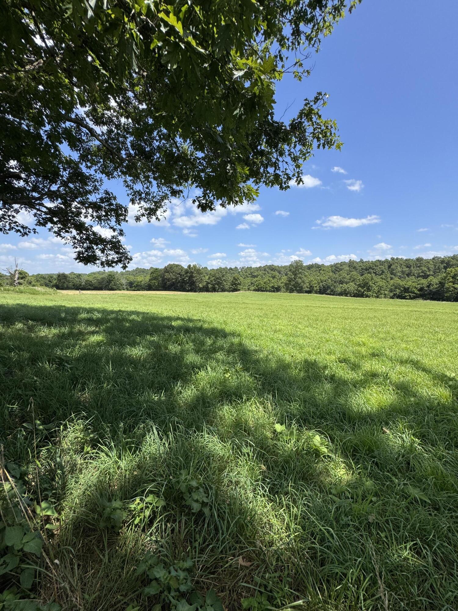 13921 County Road 6910 Property Photo 17