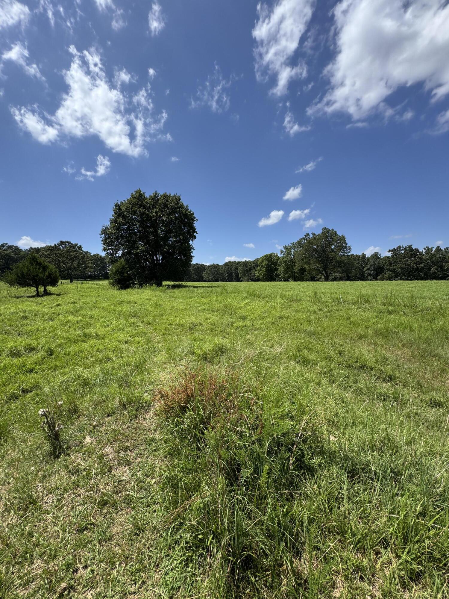 13921 County Road 6910 Property Photo 21