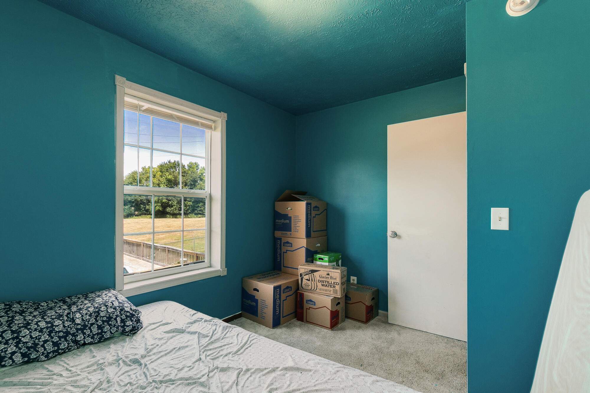 305 Hughes Road Property Photo 24