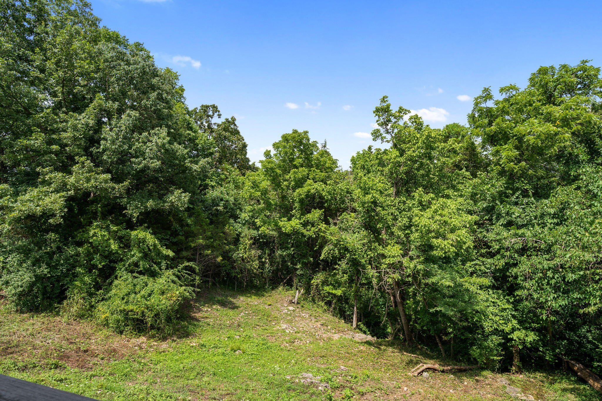 337 Jessi Road Property Photo 21