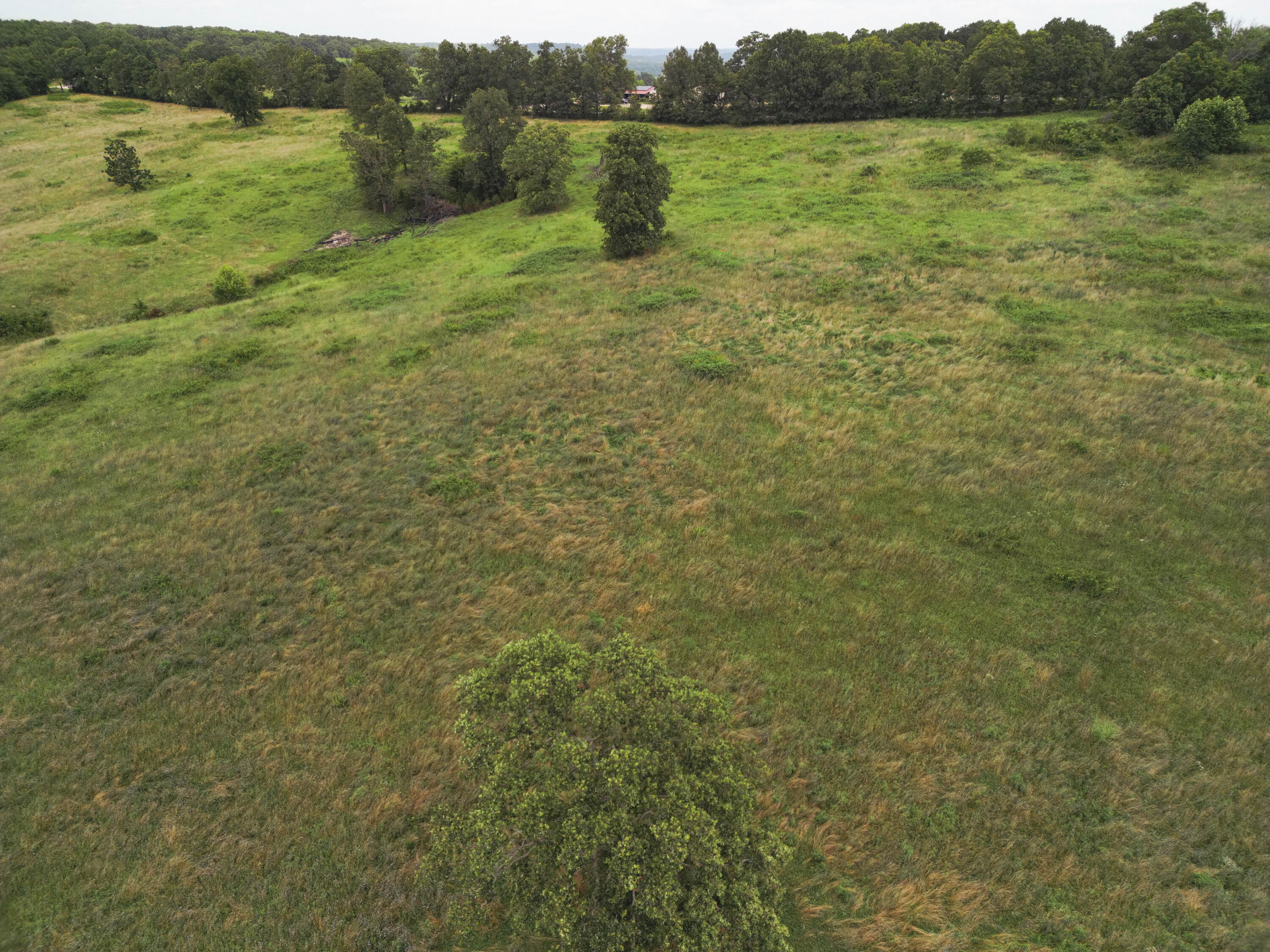 000 Highway E Property Photo 19