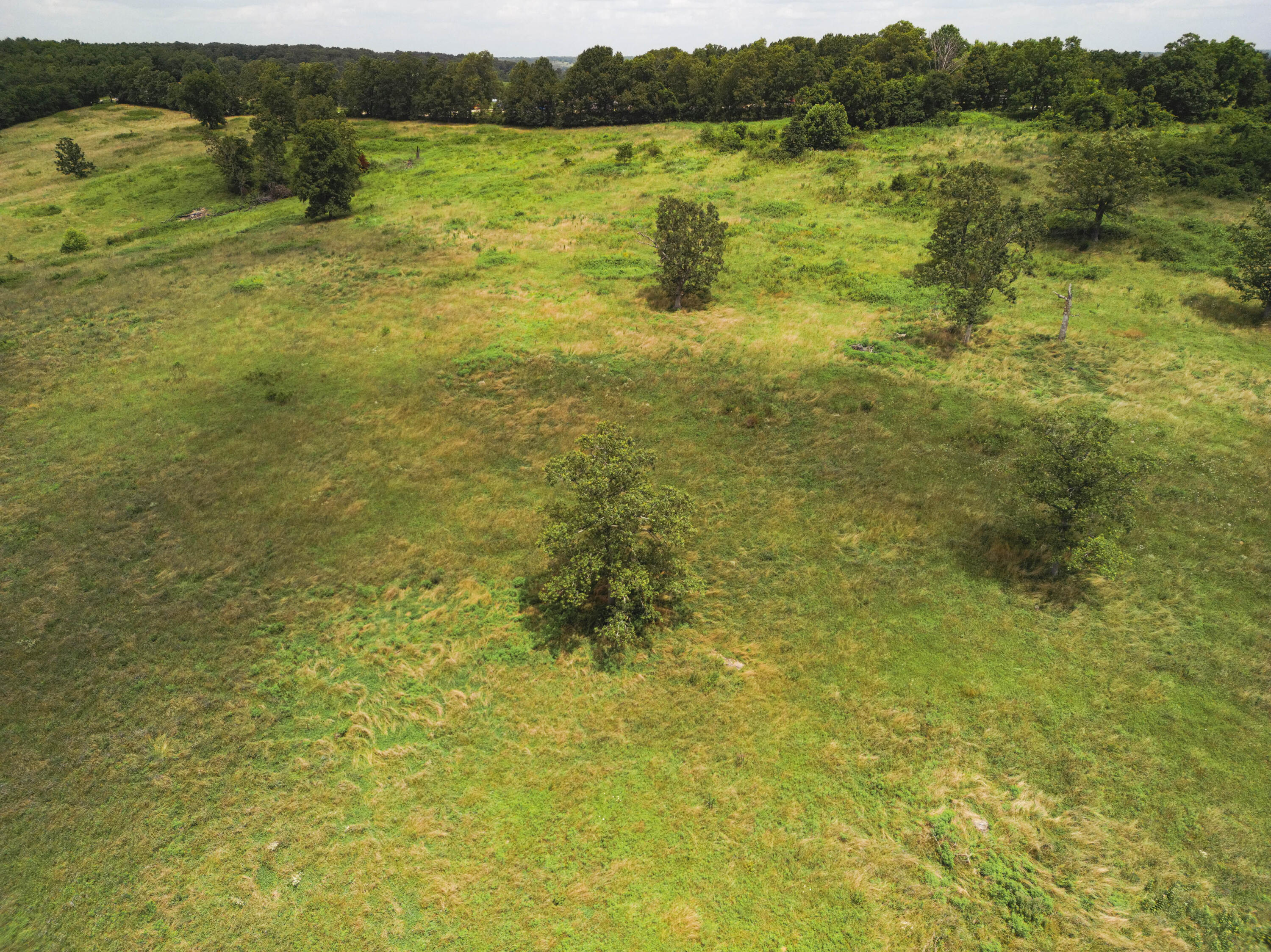 000 Highway E Property Photo 23