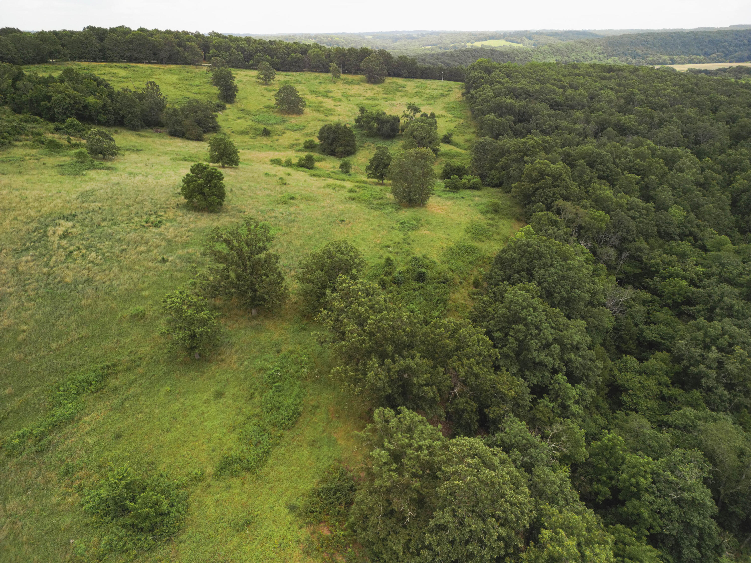 000 Highway E Property Photo 26