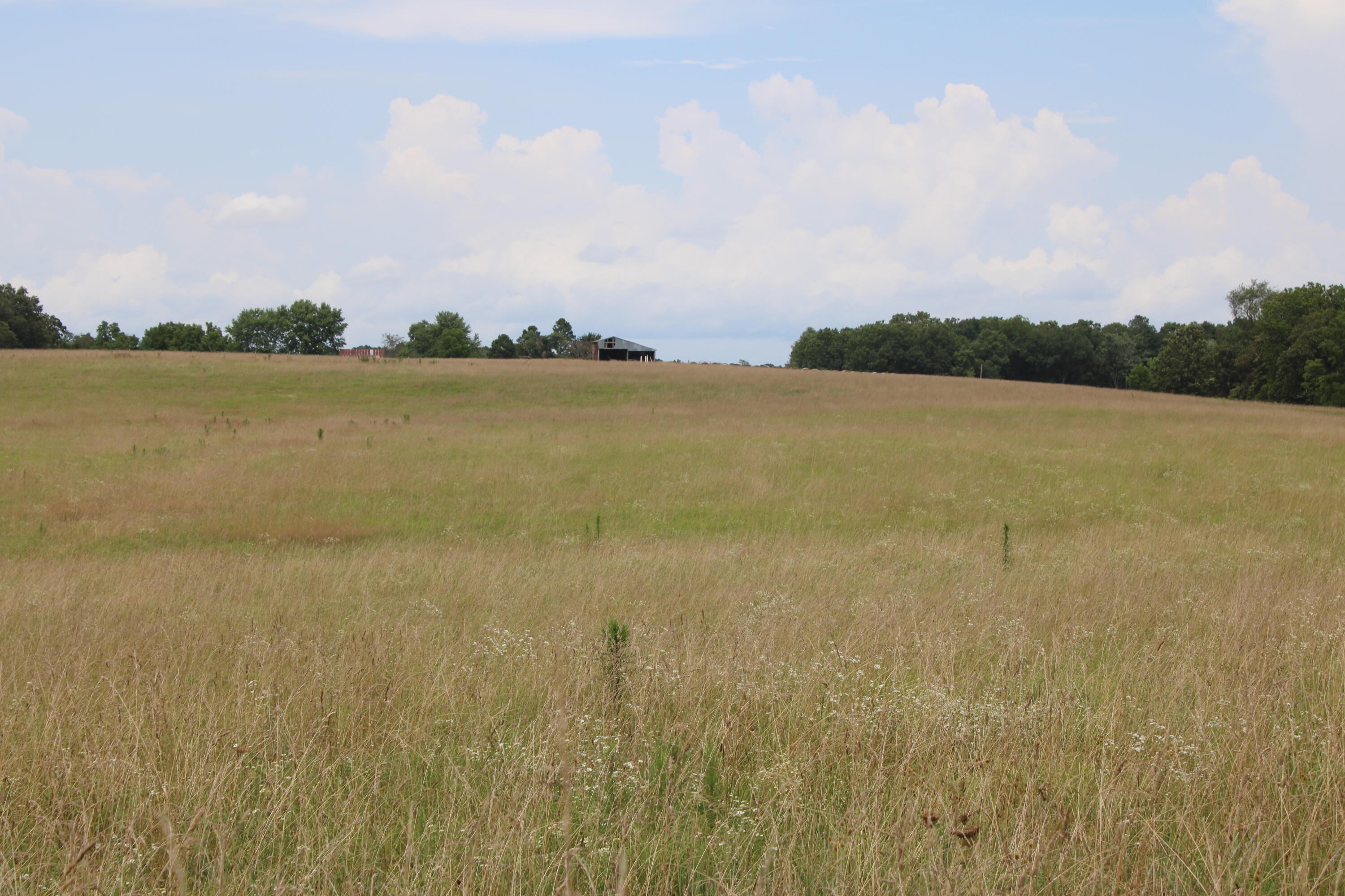 6060 State Route W West Property Photo 4