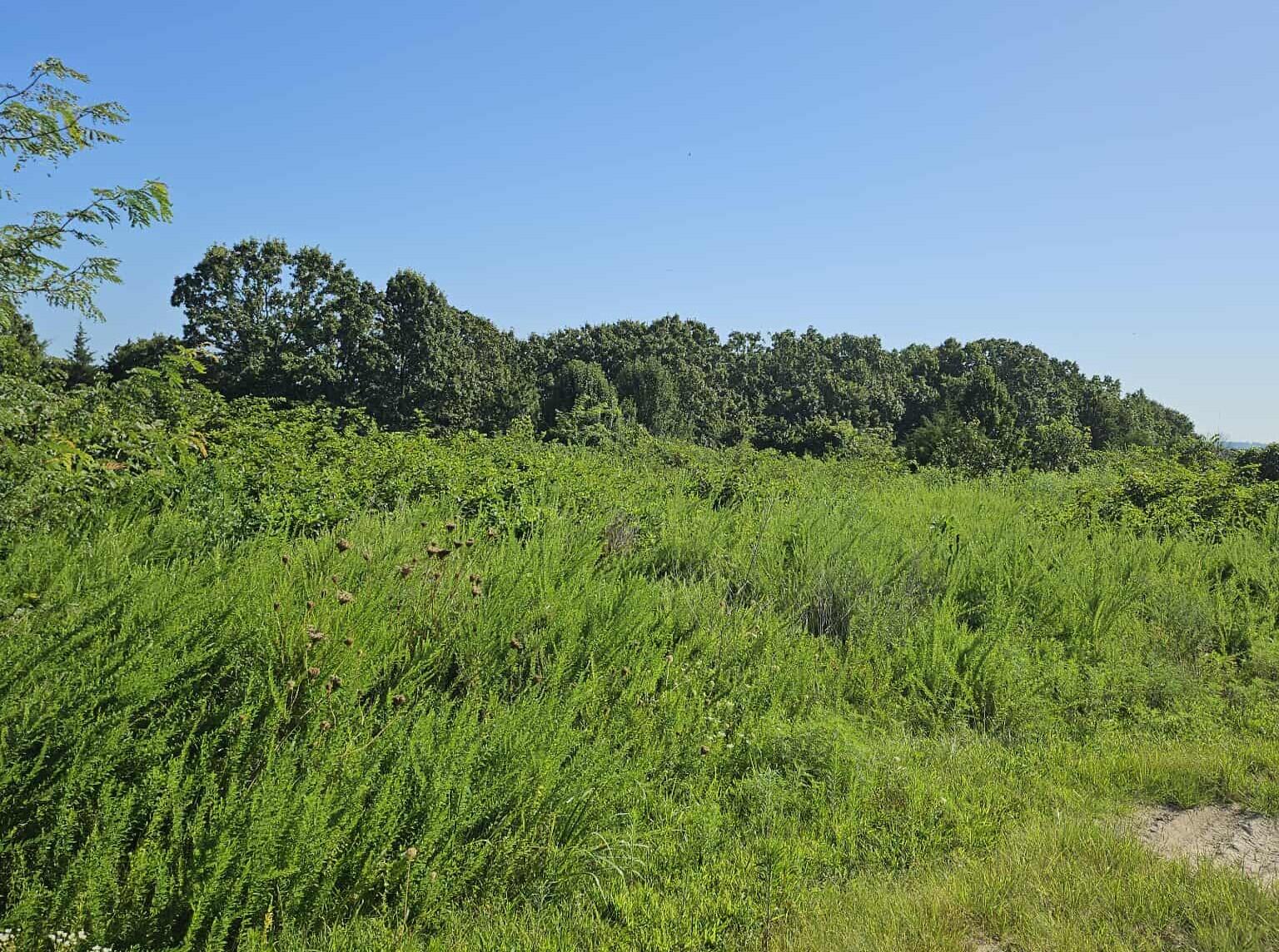 000 Tiki Trail Lots 3 & 4 Property Photo 1
