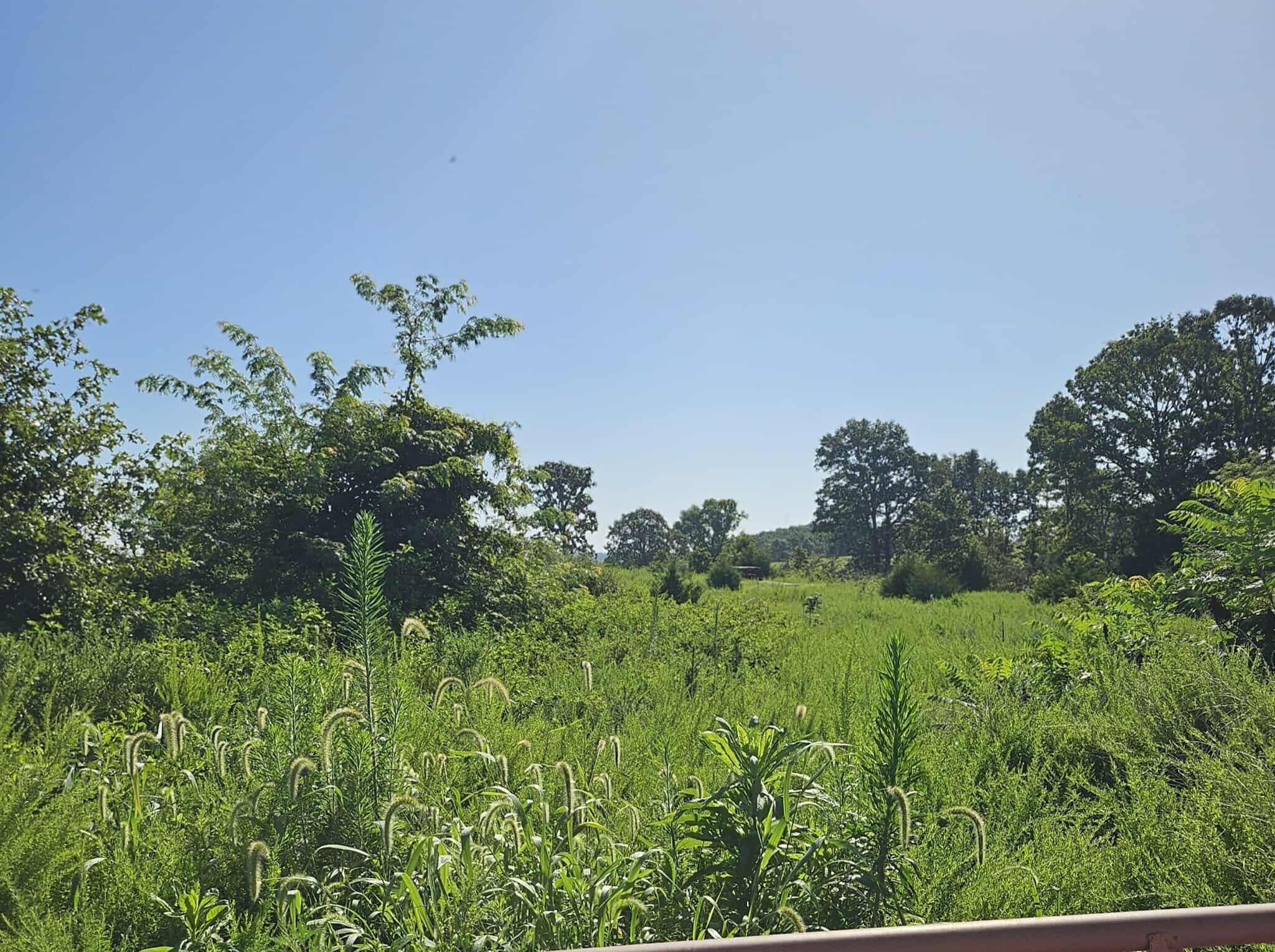 000 Tiki Trail Lots 3 & 4 Property Photo 12