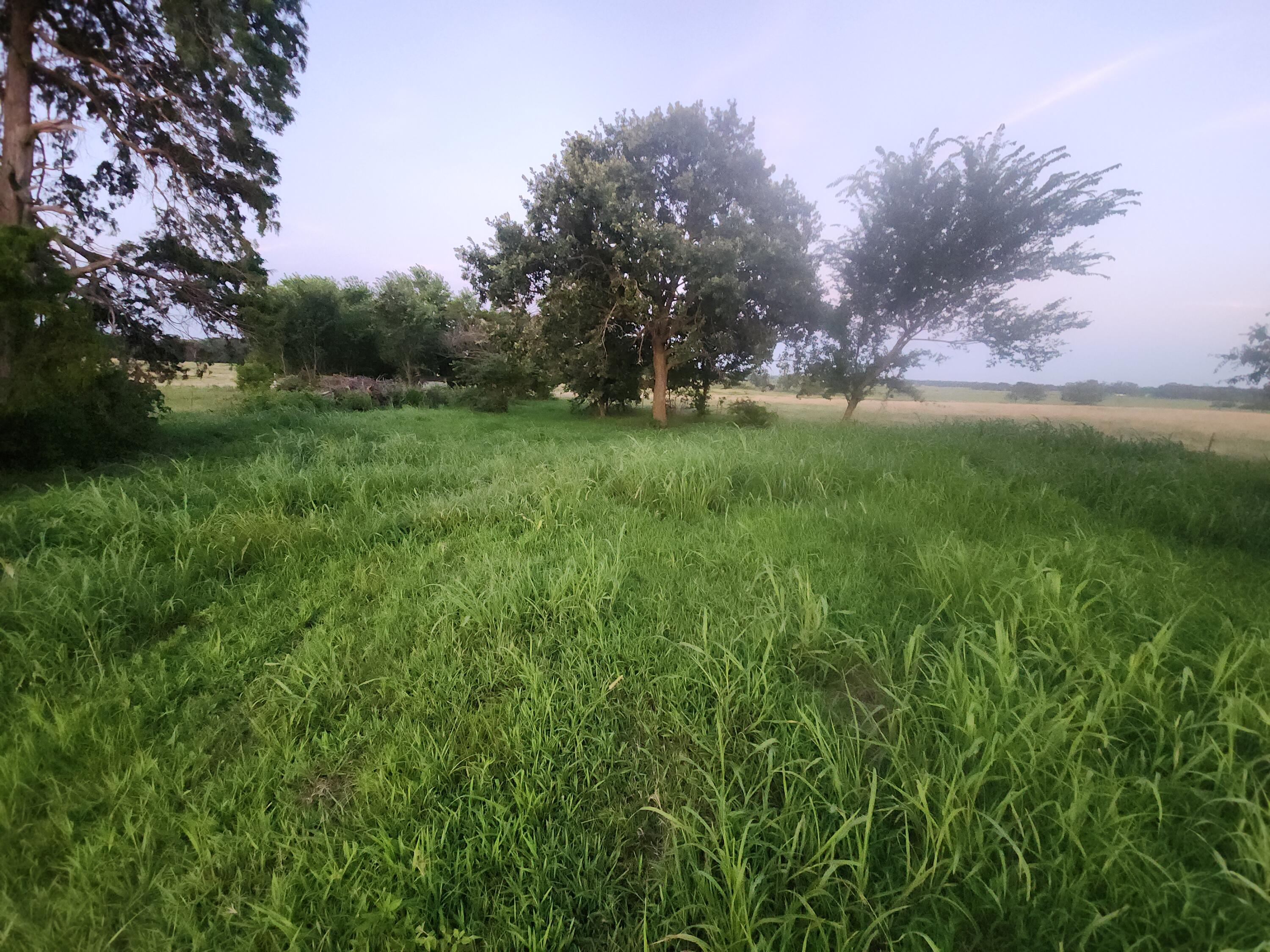 21483 Antelope Road Property Photo 32