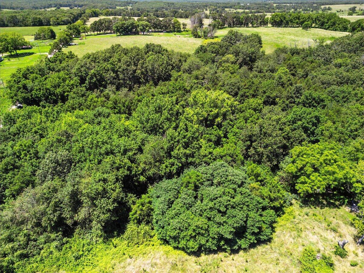 0000 Highway 17 Property Photo 3