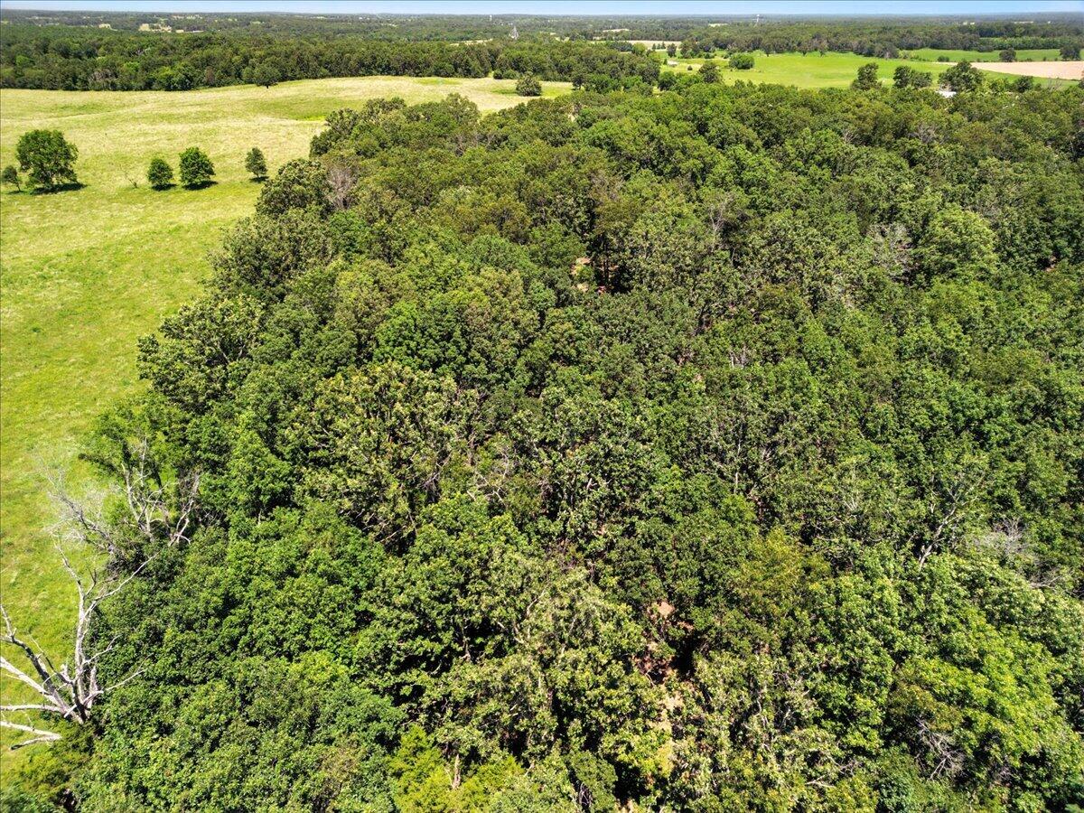 0000 Highway 17 Property Photo 14