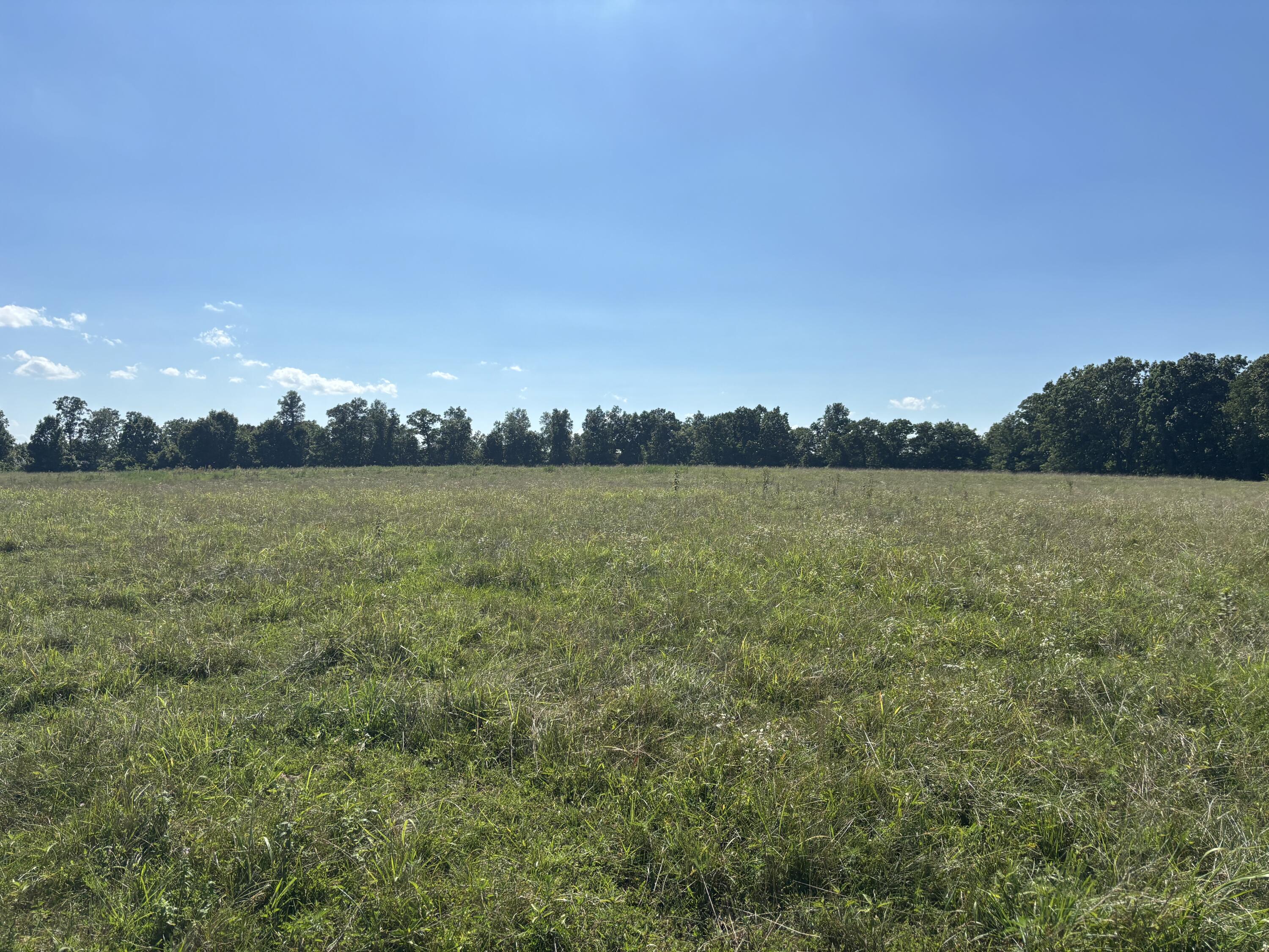 000 Hall Road Property Photo 2
