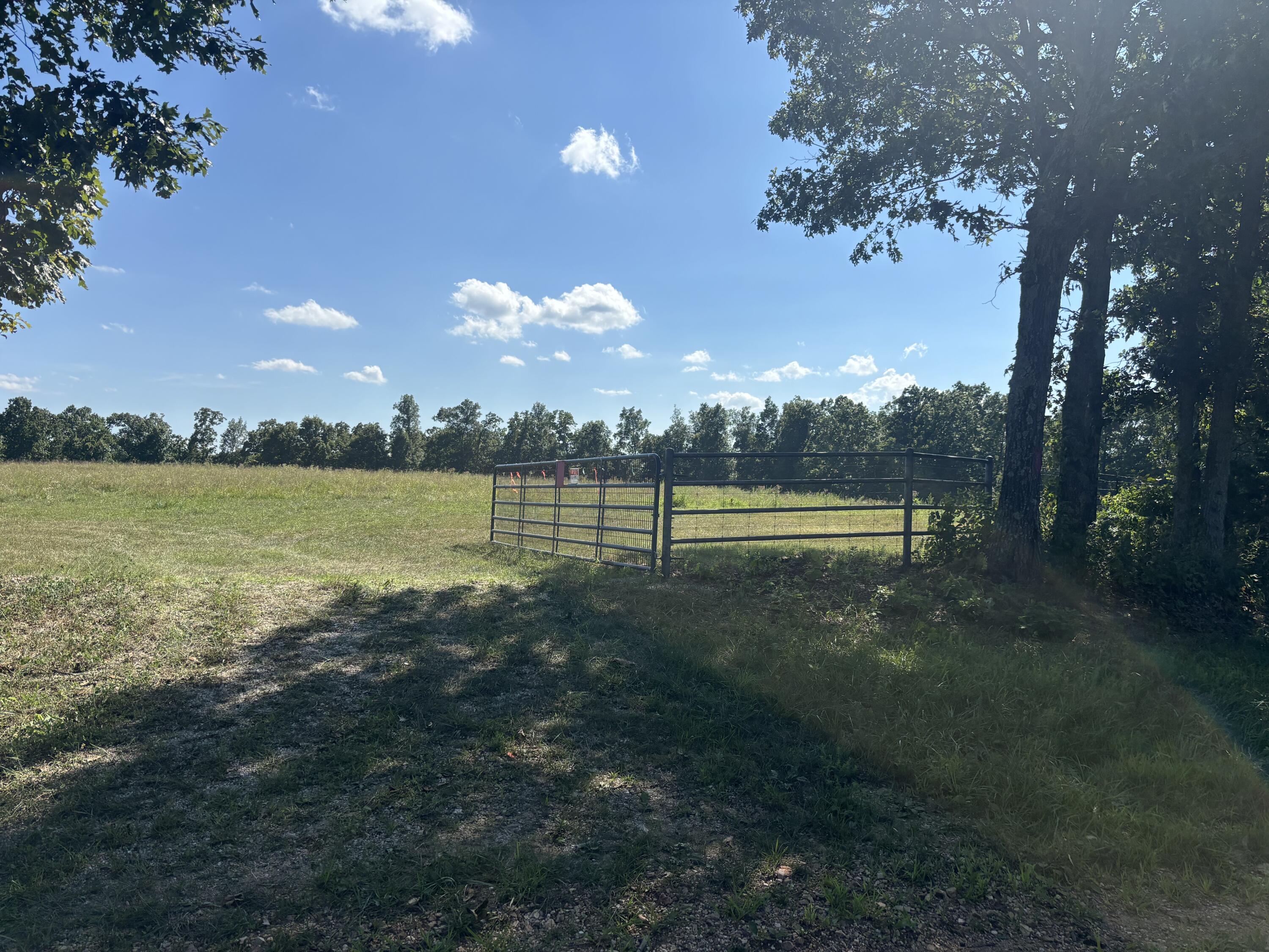 000 Hall Road Property Photo 11