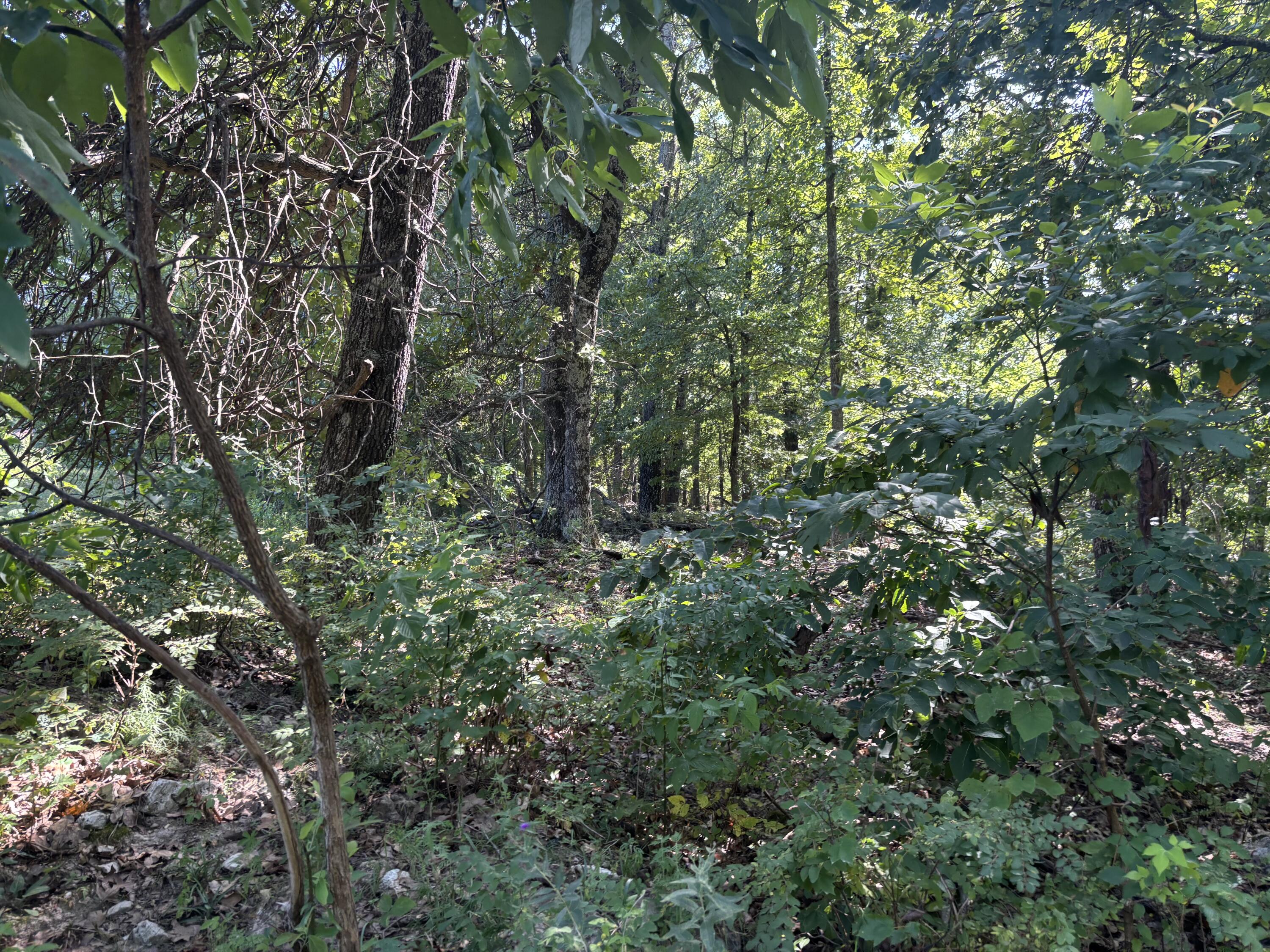 000 Hall Road Property Photo 12