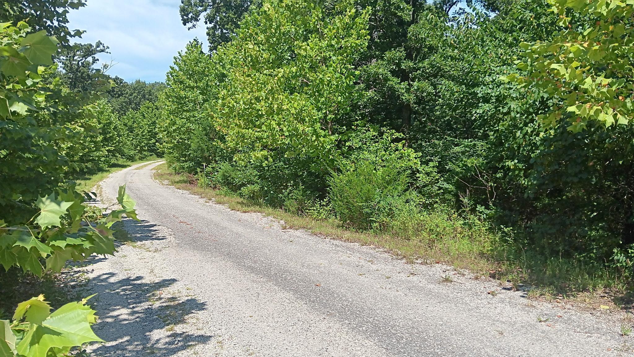000 Lot 37 Mills Valley Boulevard Property Photo 1