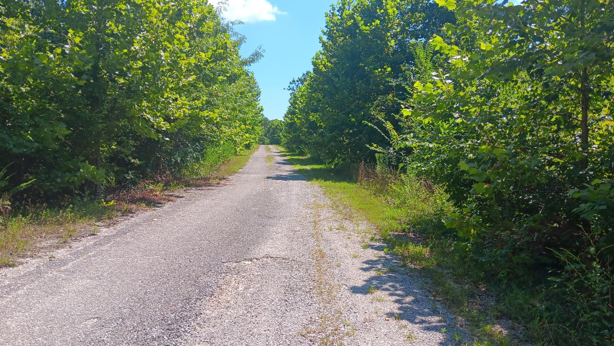 000 Lot 37 Mills Valley Boulevard Property Photo 2