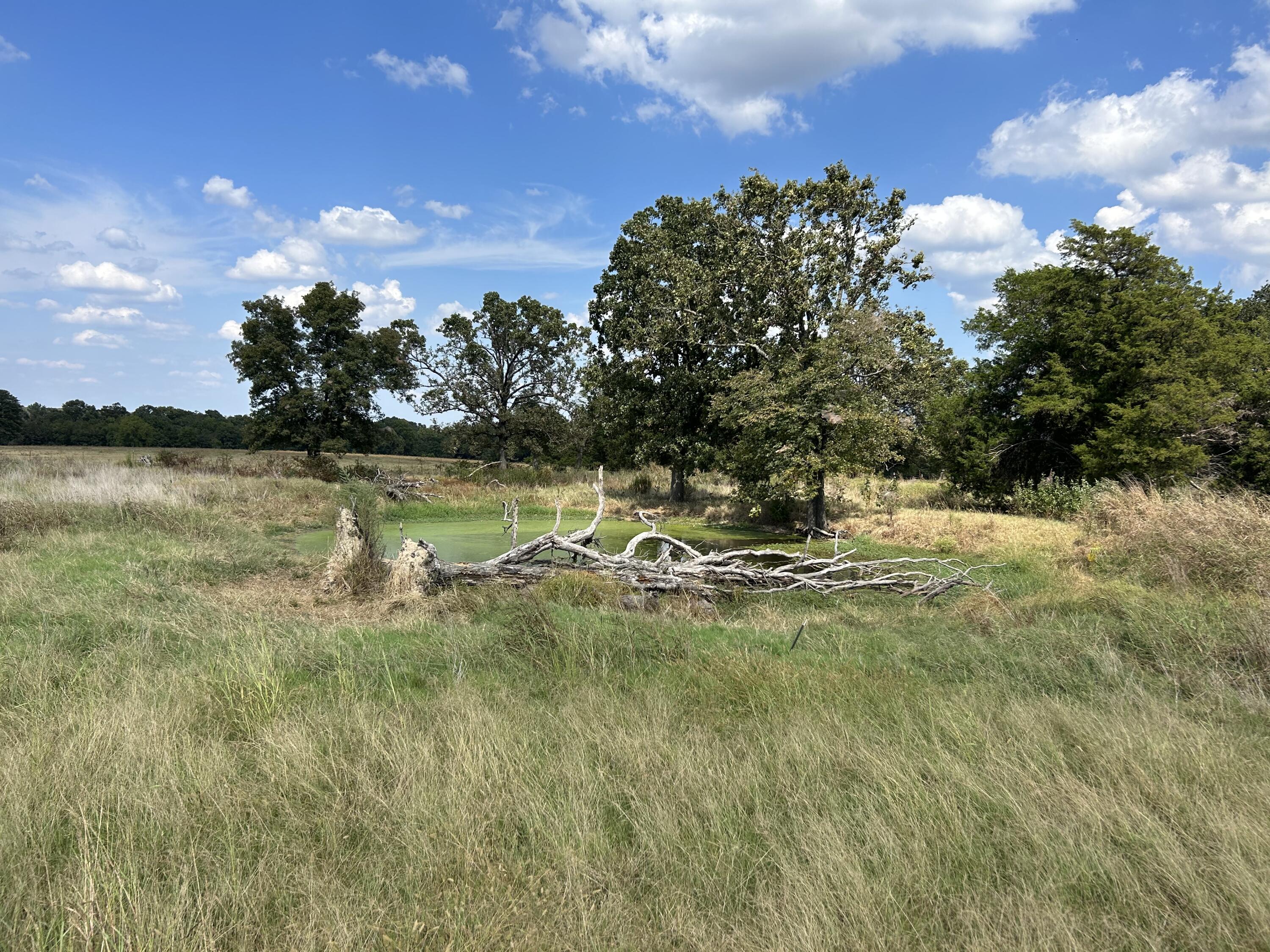 000 Route Mm Property Photo 14