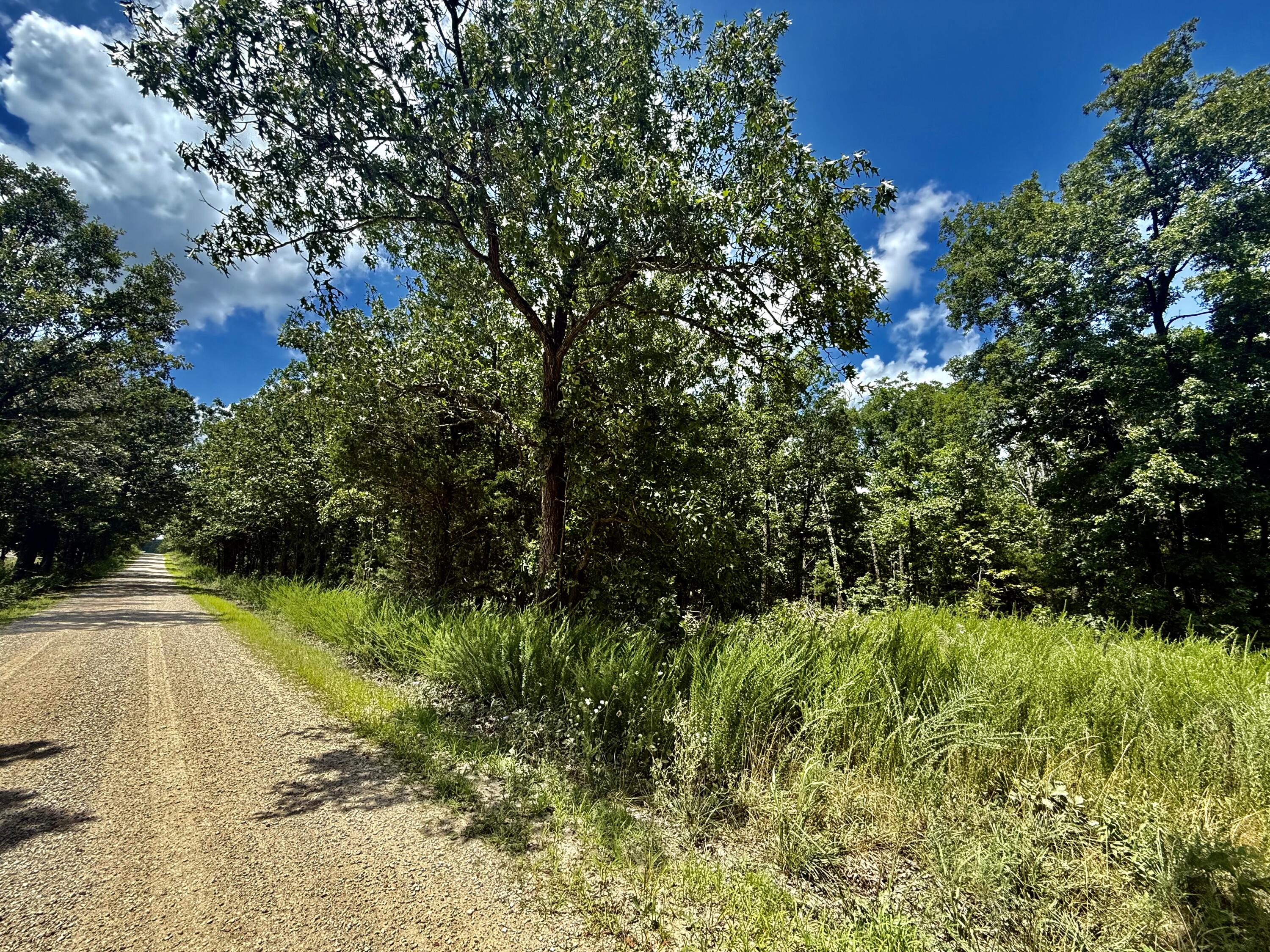 16445 County Road 6220